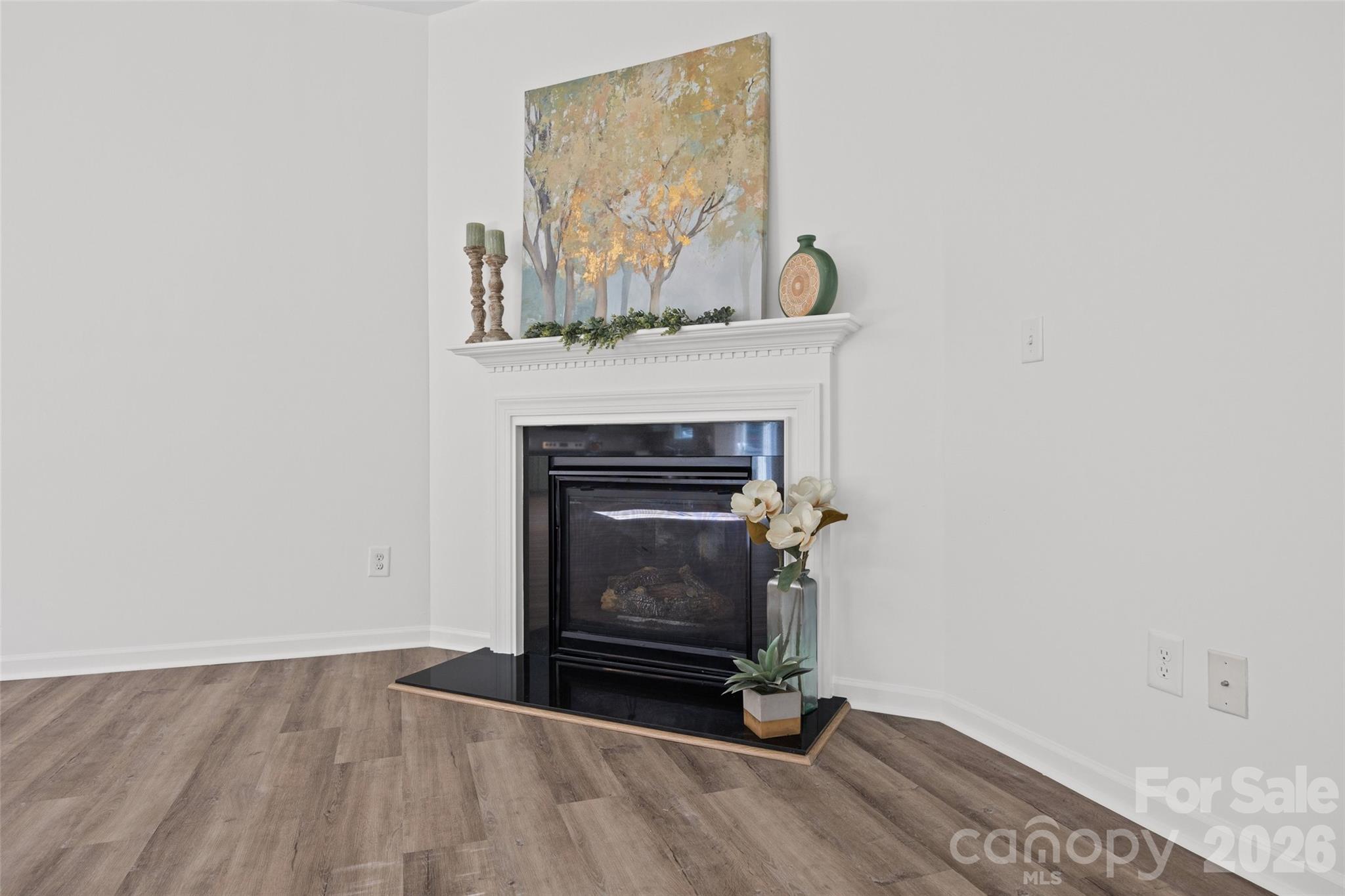 232 Sycamore Creek Road — Fort Mill