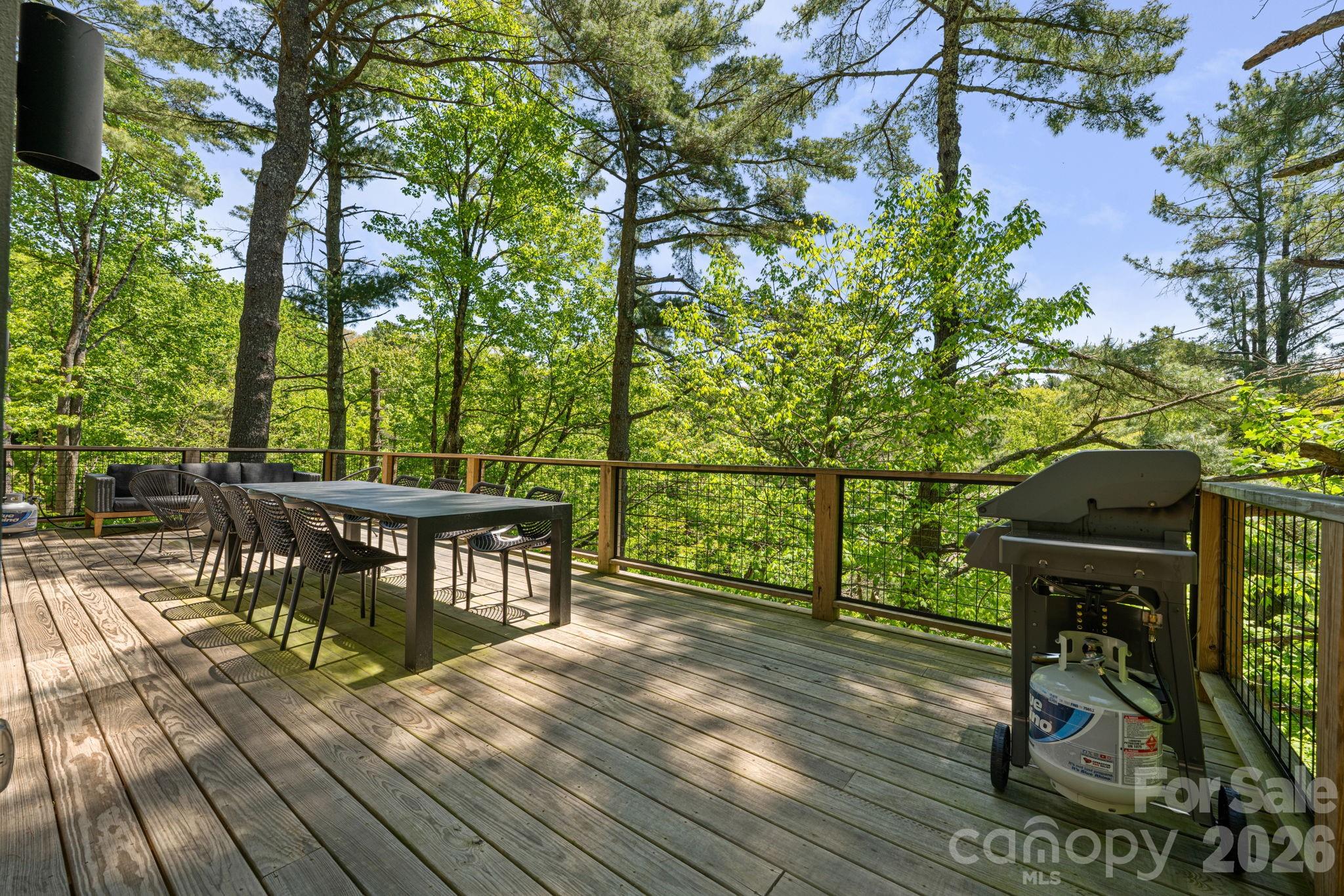1385 Niley Cook Road — Blowing Rock