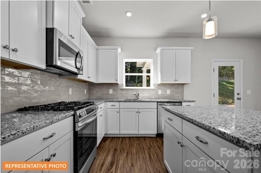 4239 Ruth Creek Court — Charlotte