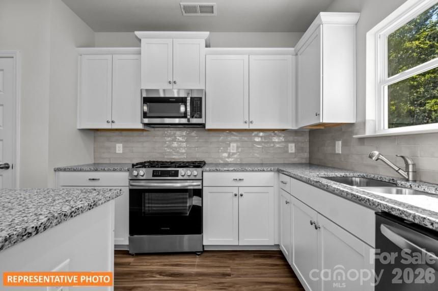 4239 Ruth Creek Court — Charlotte