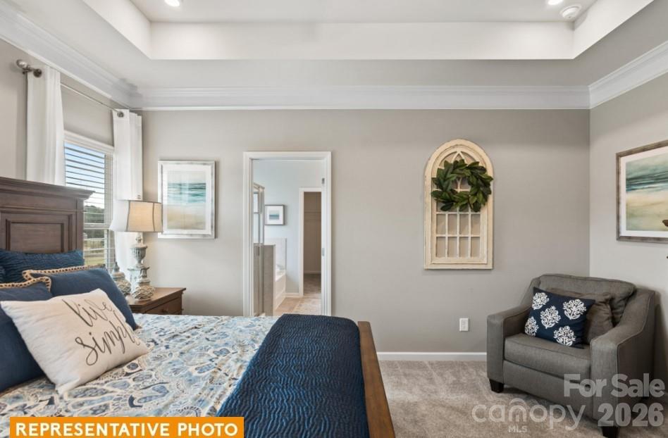4239 Ruth Creek Court — Charlotte