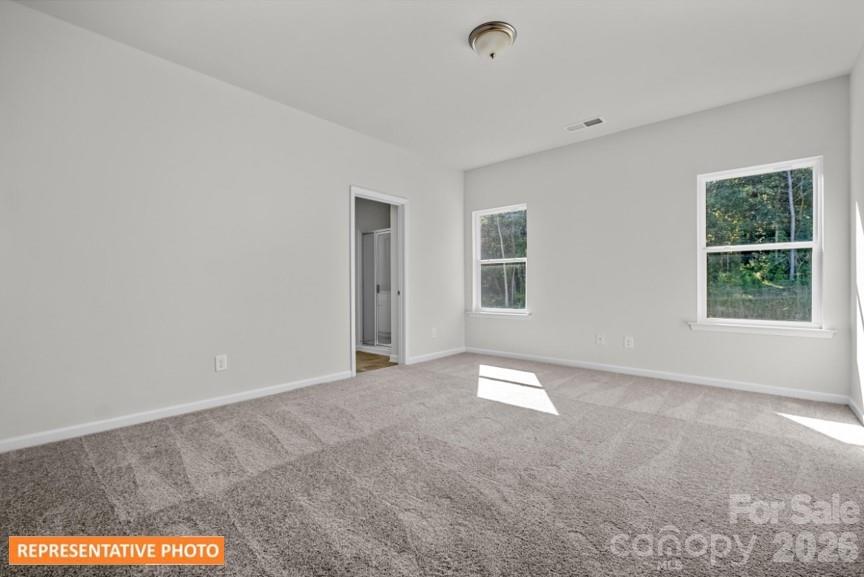 4239 Ruth Creek Court — Charlotte