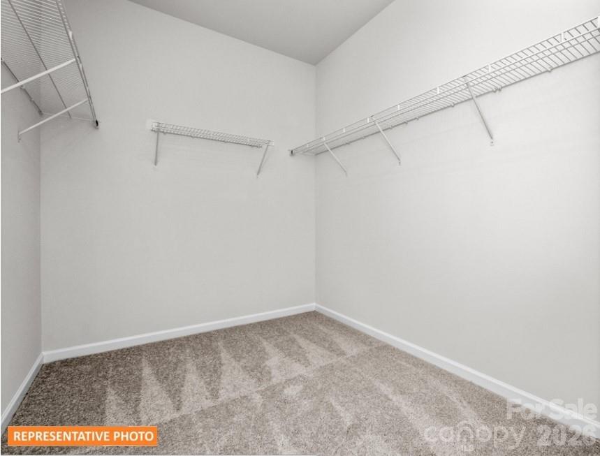 4239 Ruth Creek Court — Charlotte