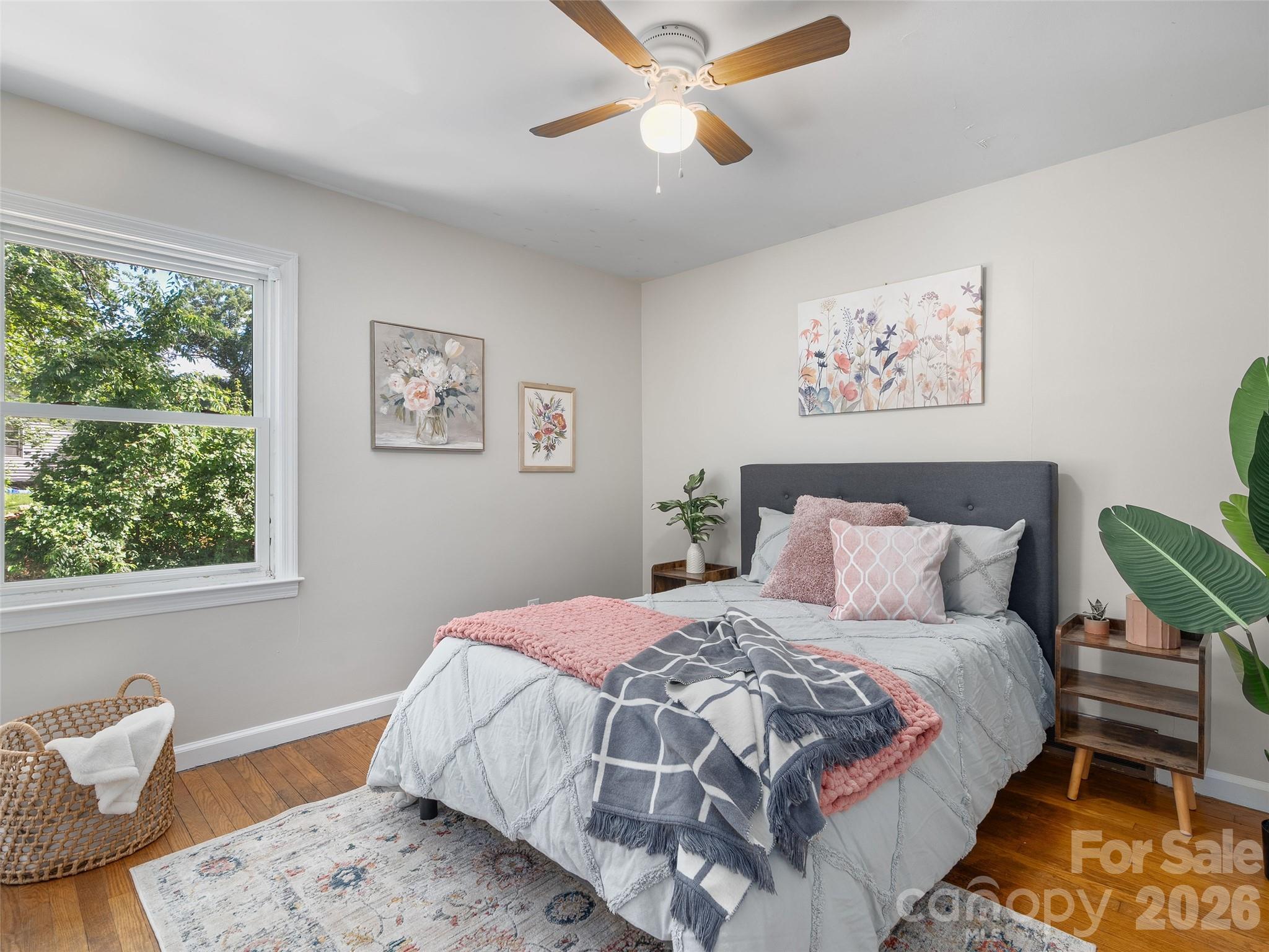 41 Cedar Street — Asheville