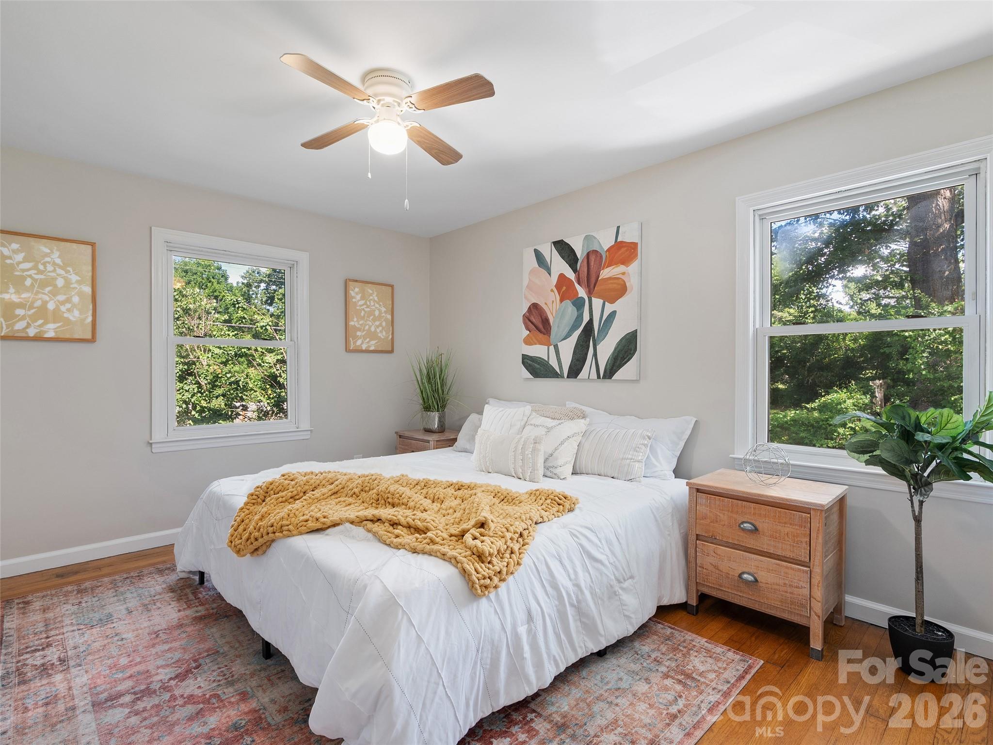41 Cedar Street — Asheville