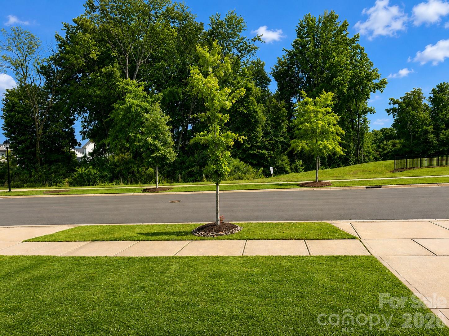 6629 Meridale Forest Drive — Charlotte