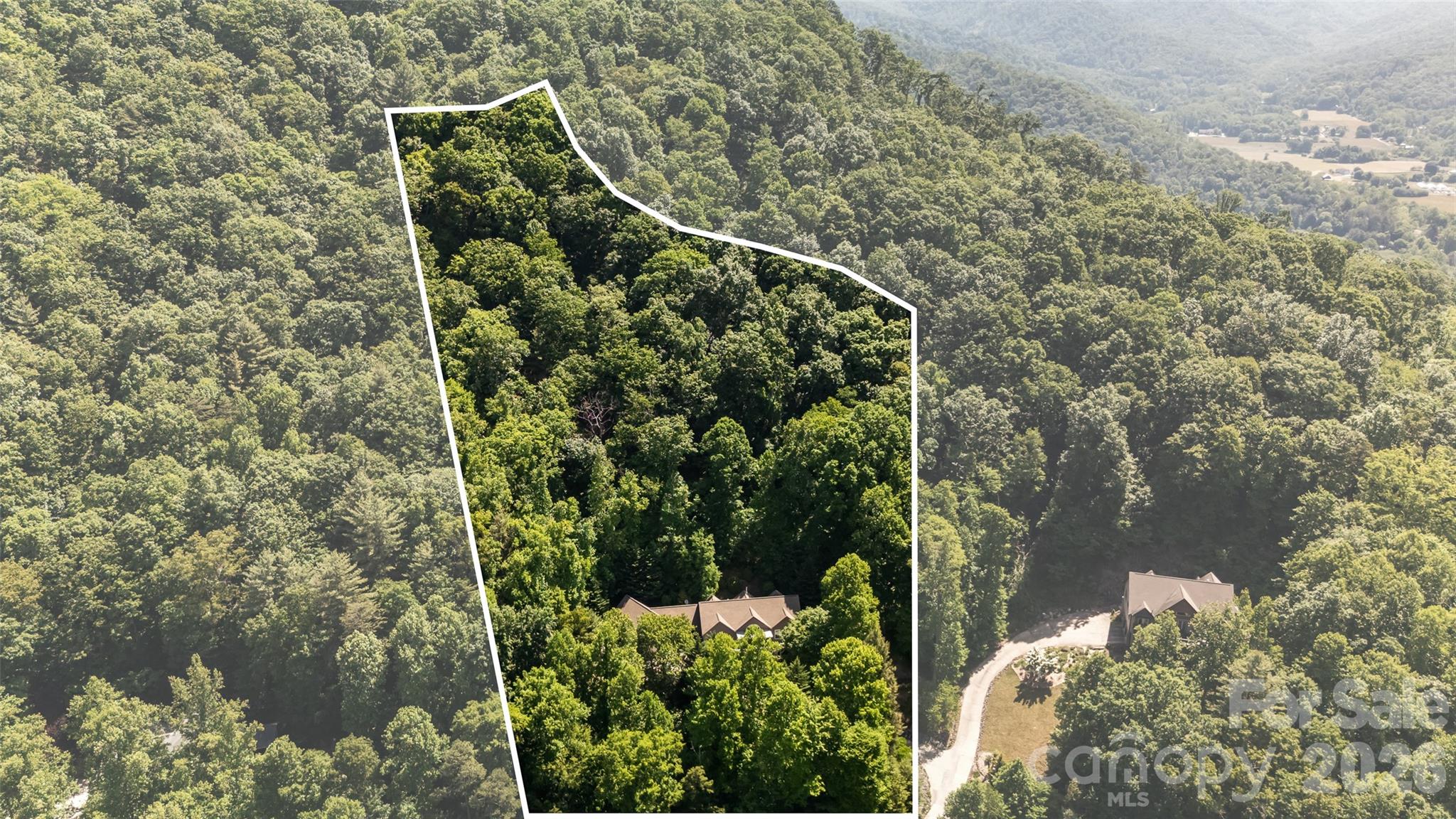 60 Hawks Pointe Lane — Weaverville