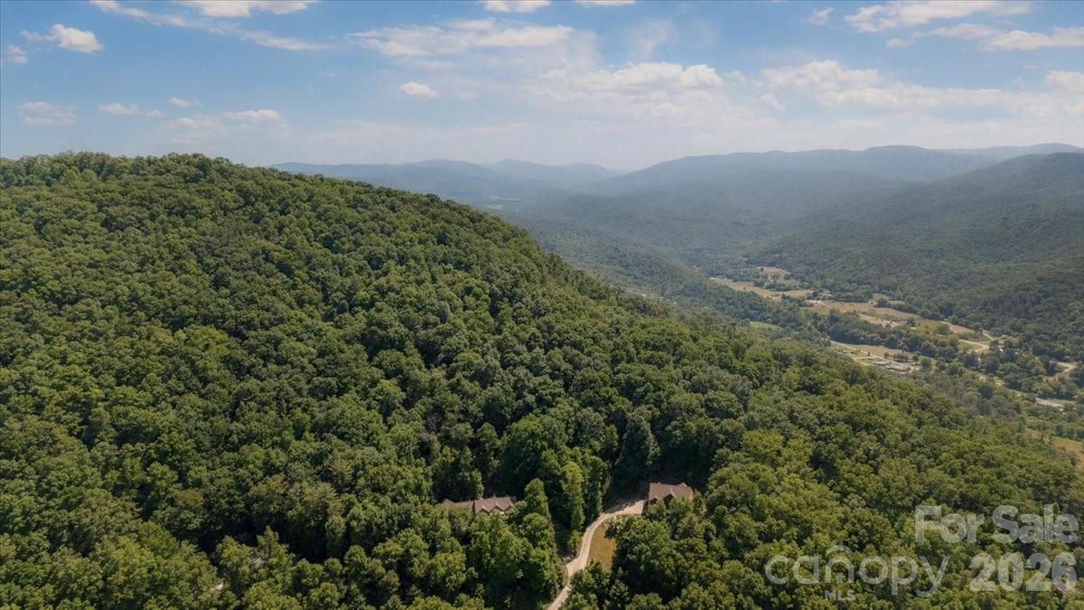 60 Hawks Pointe Lane — Weaverville