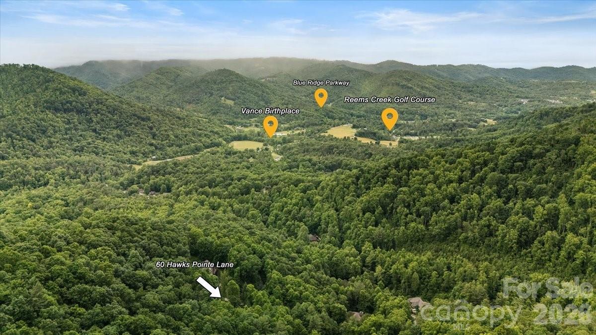 60 Hawks Pointe Lane — Weaverville