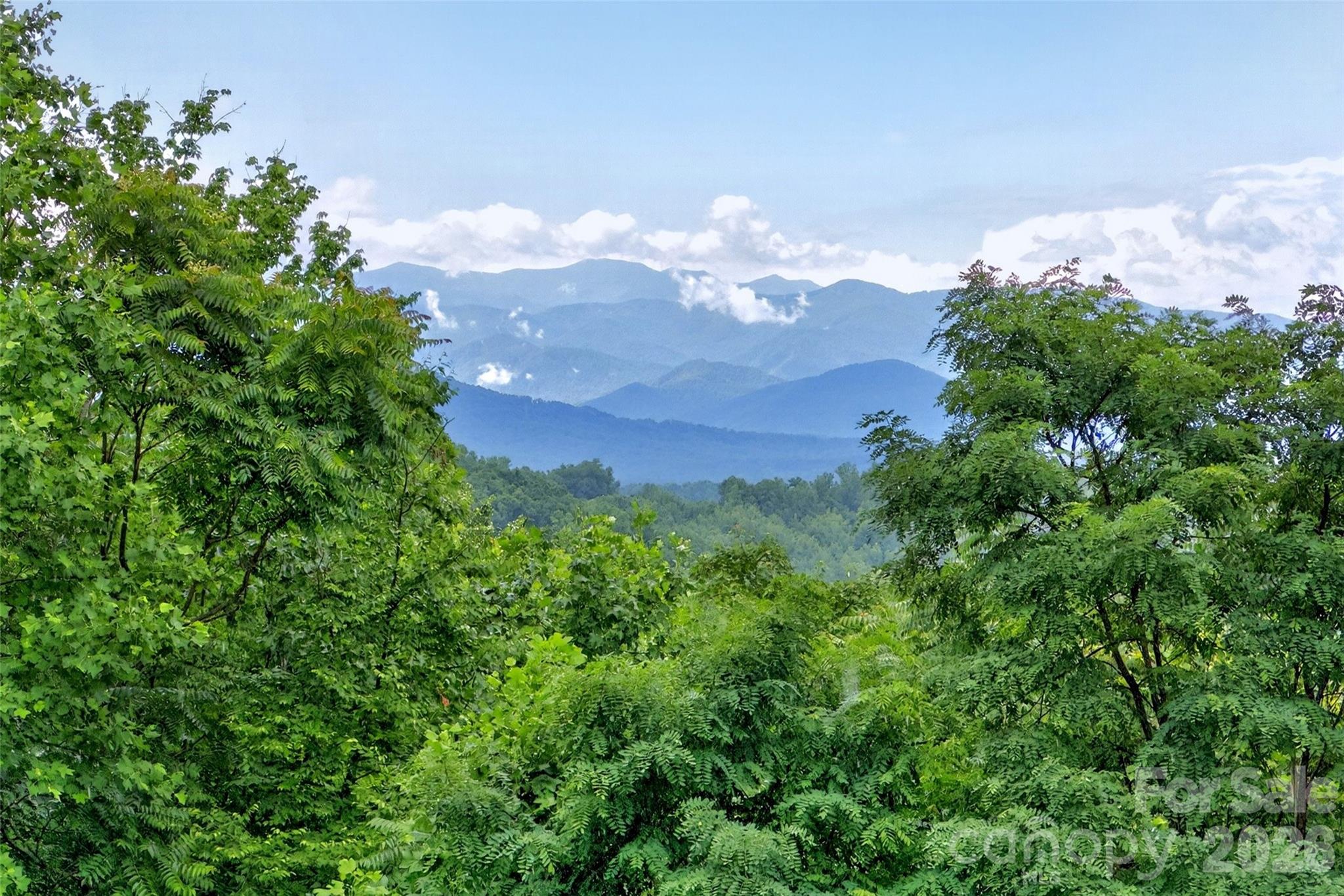 696 Hickory Nut Hollow — Old Fort