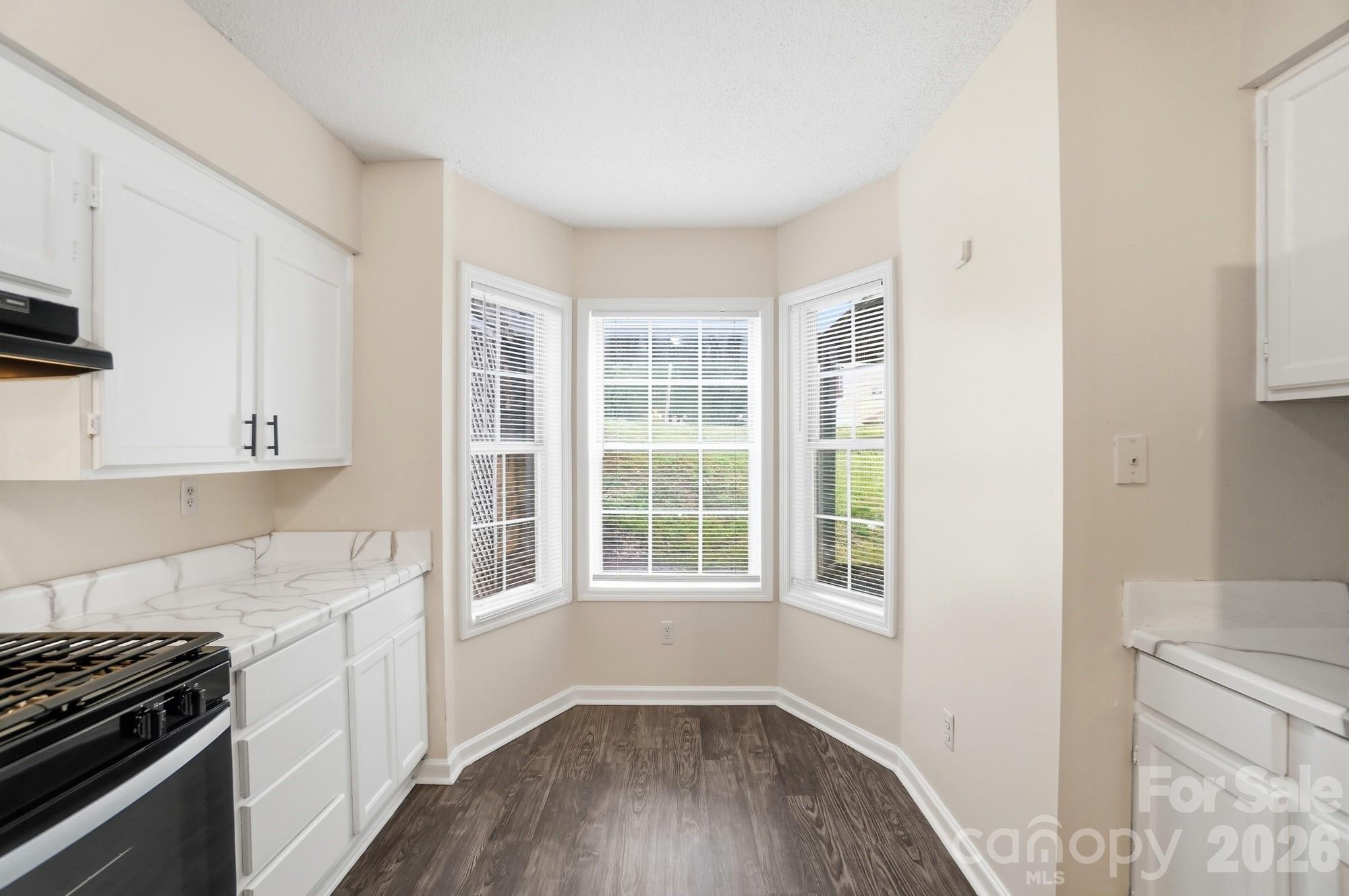 6043 Green Forest Drive — Charlotte