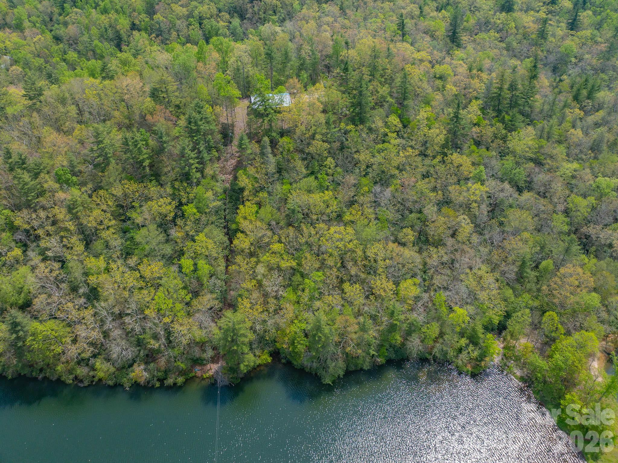 1971 Swiss Pine Lake Drive — Spruce Pine