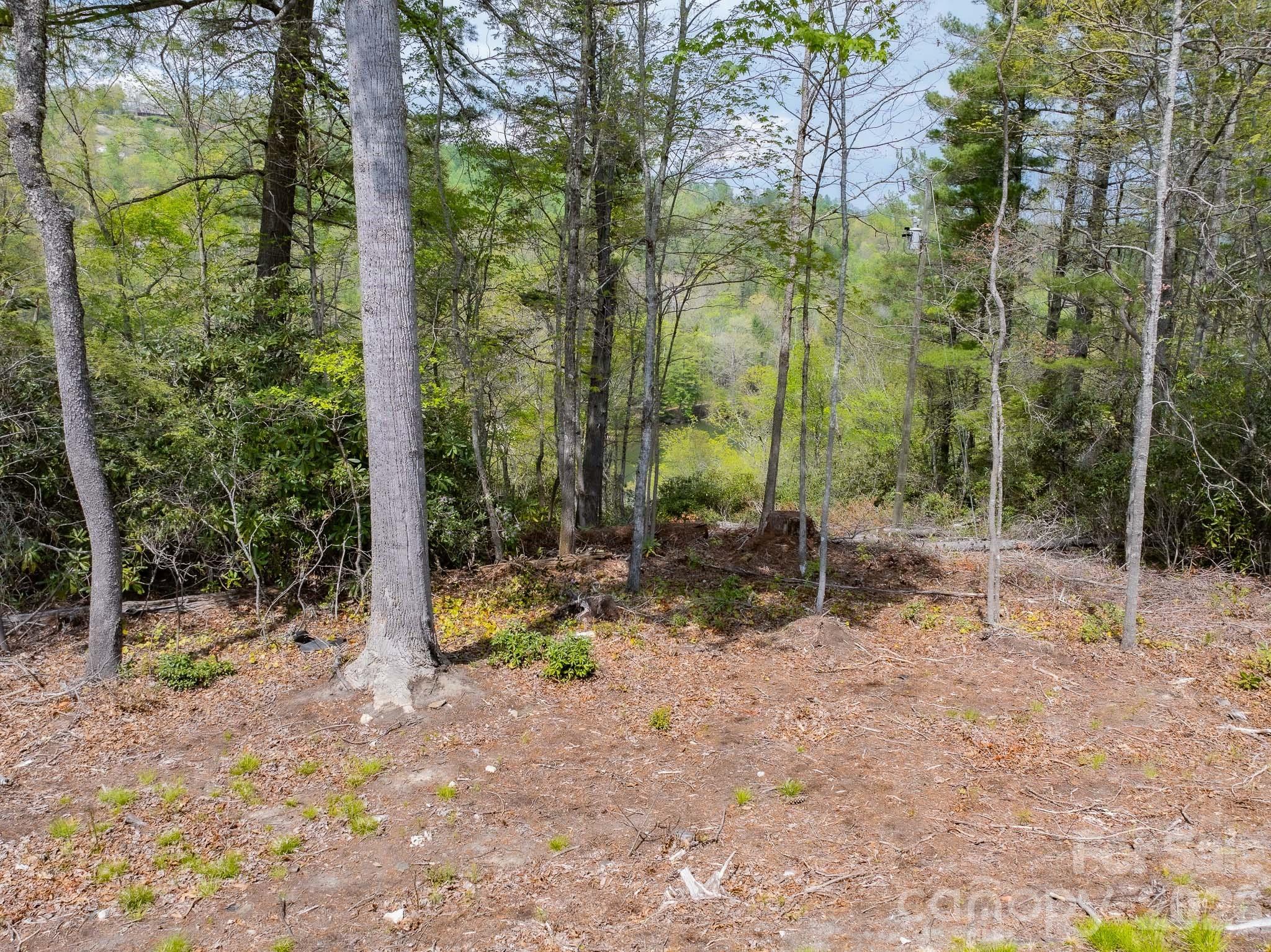 1971 Swiss Pine Lake Drive — Spruce Pine