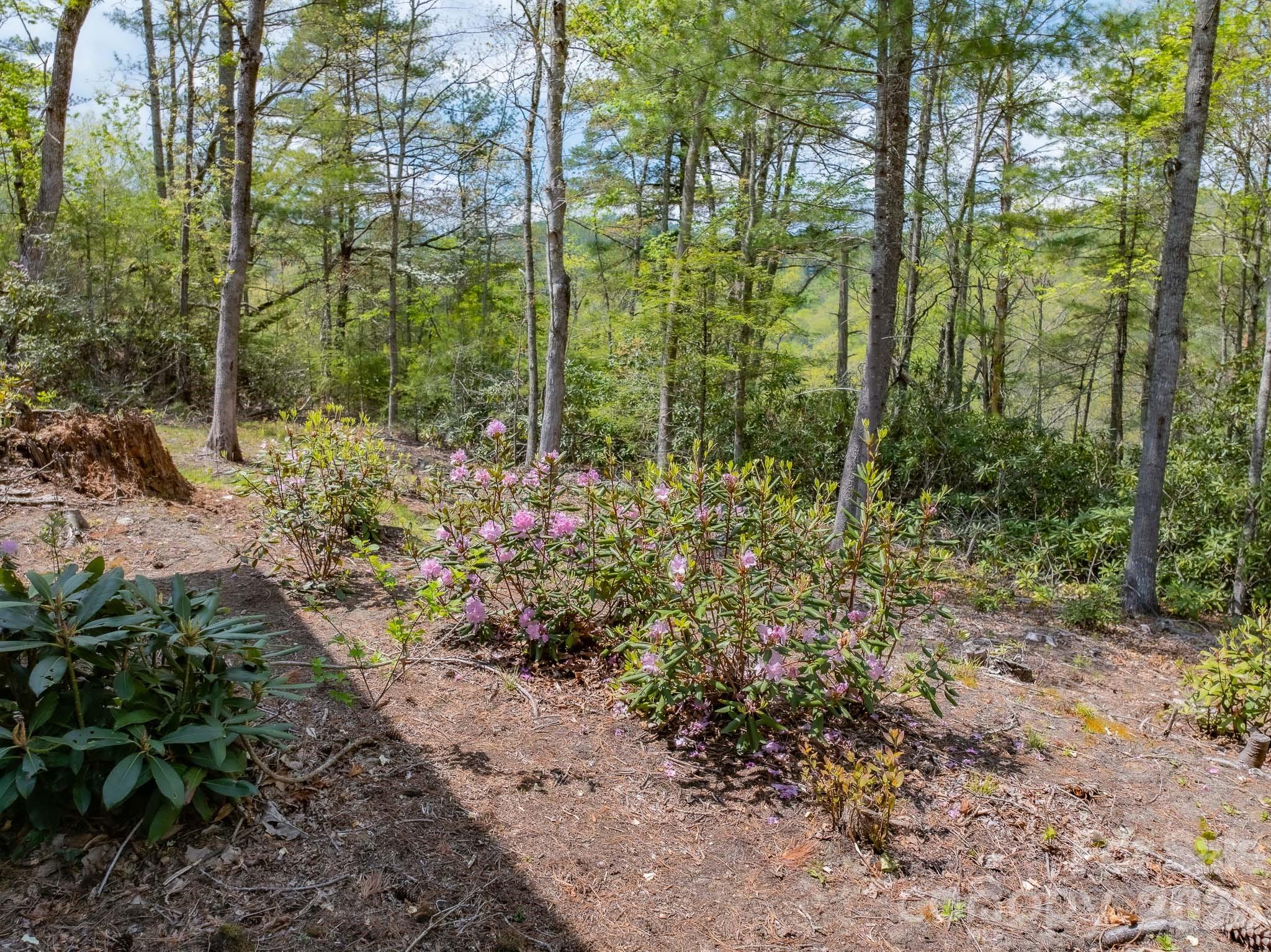 1971 Swiss Pine Lake Drive — Spruce Pine
