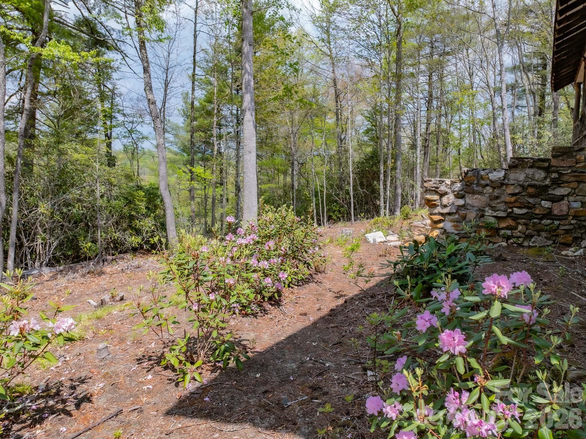 1971 Swiss Pine Lake Drive — Spruce Pine