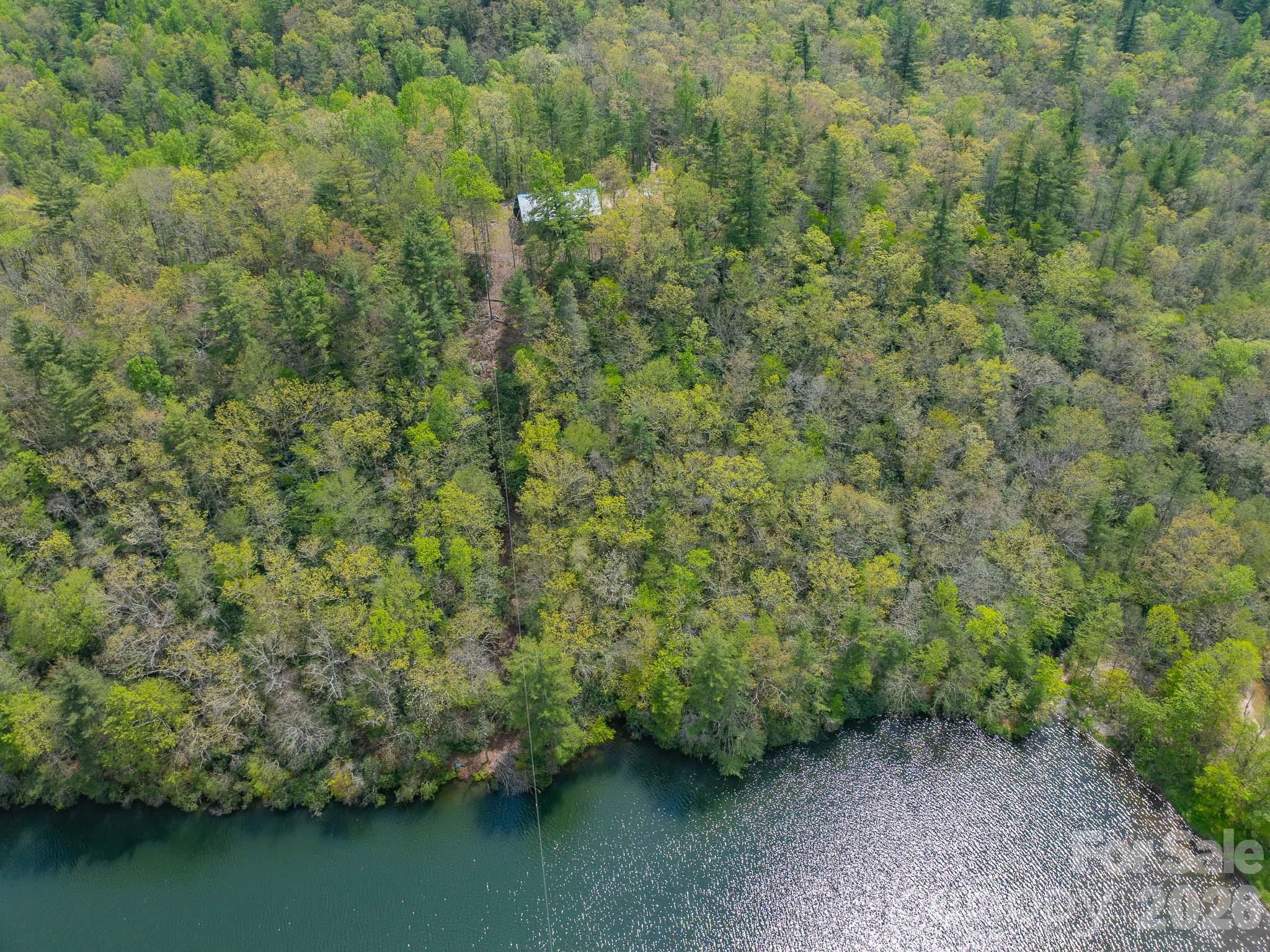 1971 Swiss Pine Lake Drive — Spruce Pine