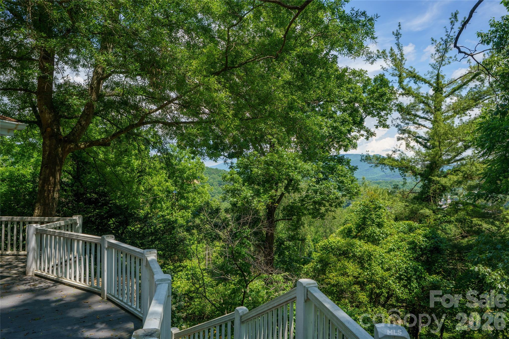 32 Delano Road — Asheville