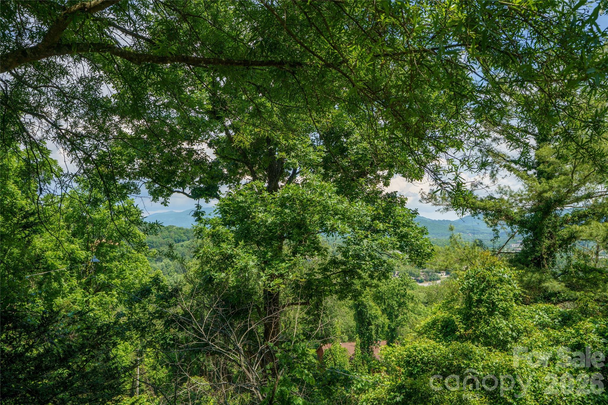32 Delano Road — Asheville