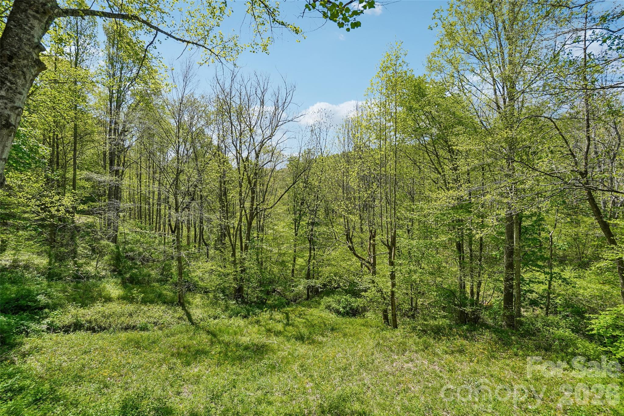 66 Pinto Trail — Sylva