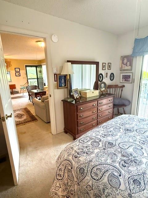 35 Talon Court — Waynesville