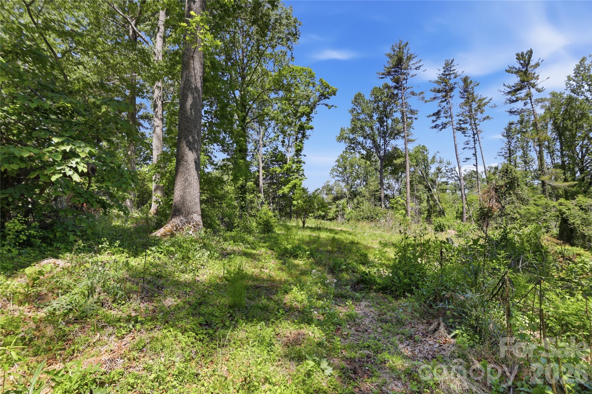 207 Wood Dale Drive — Hendersonville