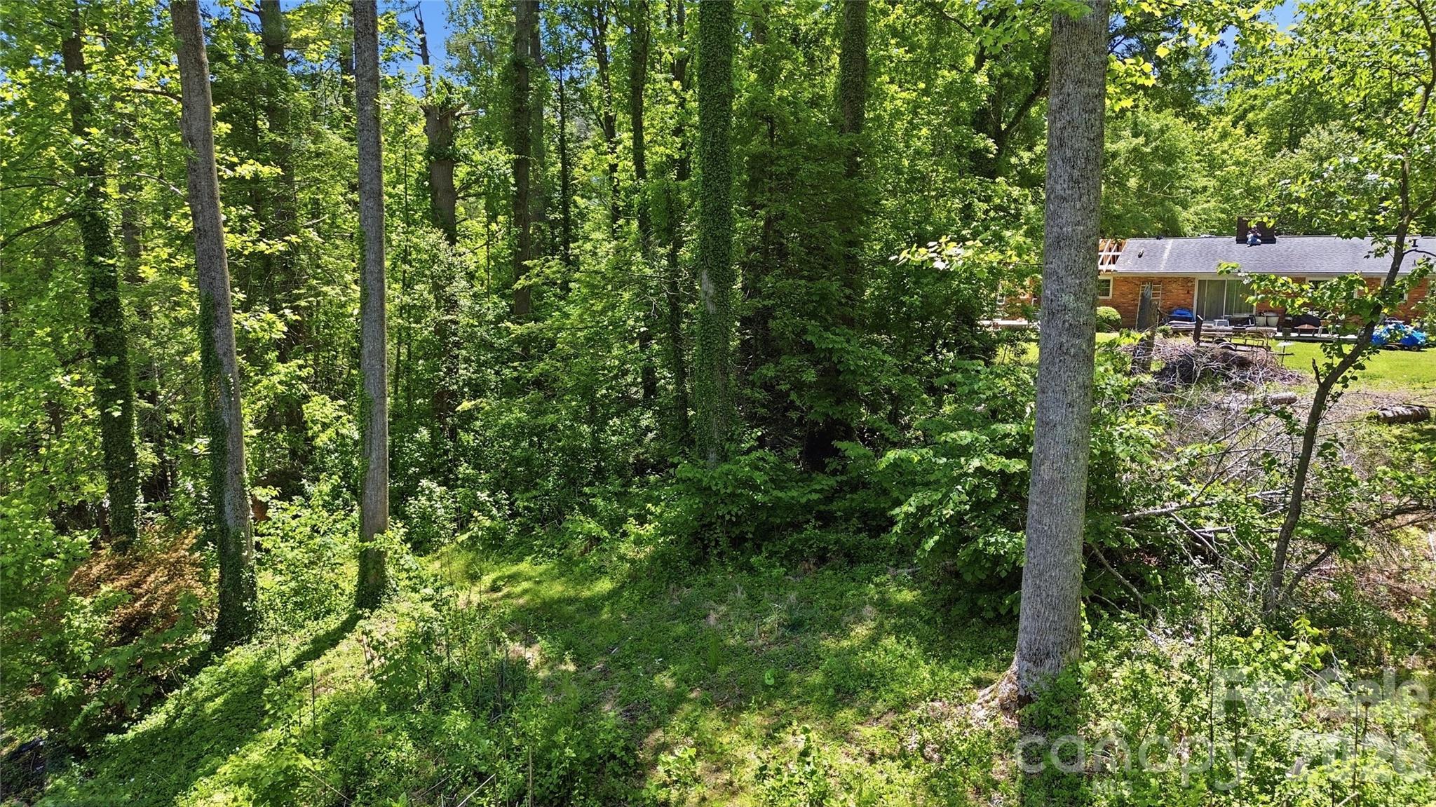 207 Wood Dale Drive — Hendersonville