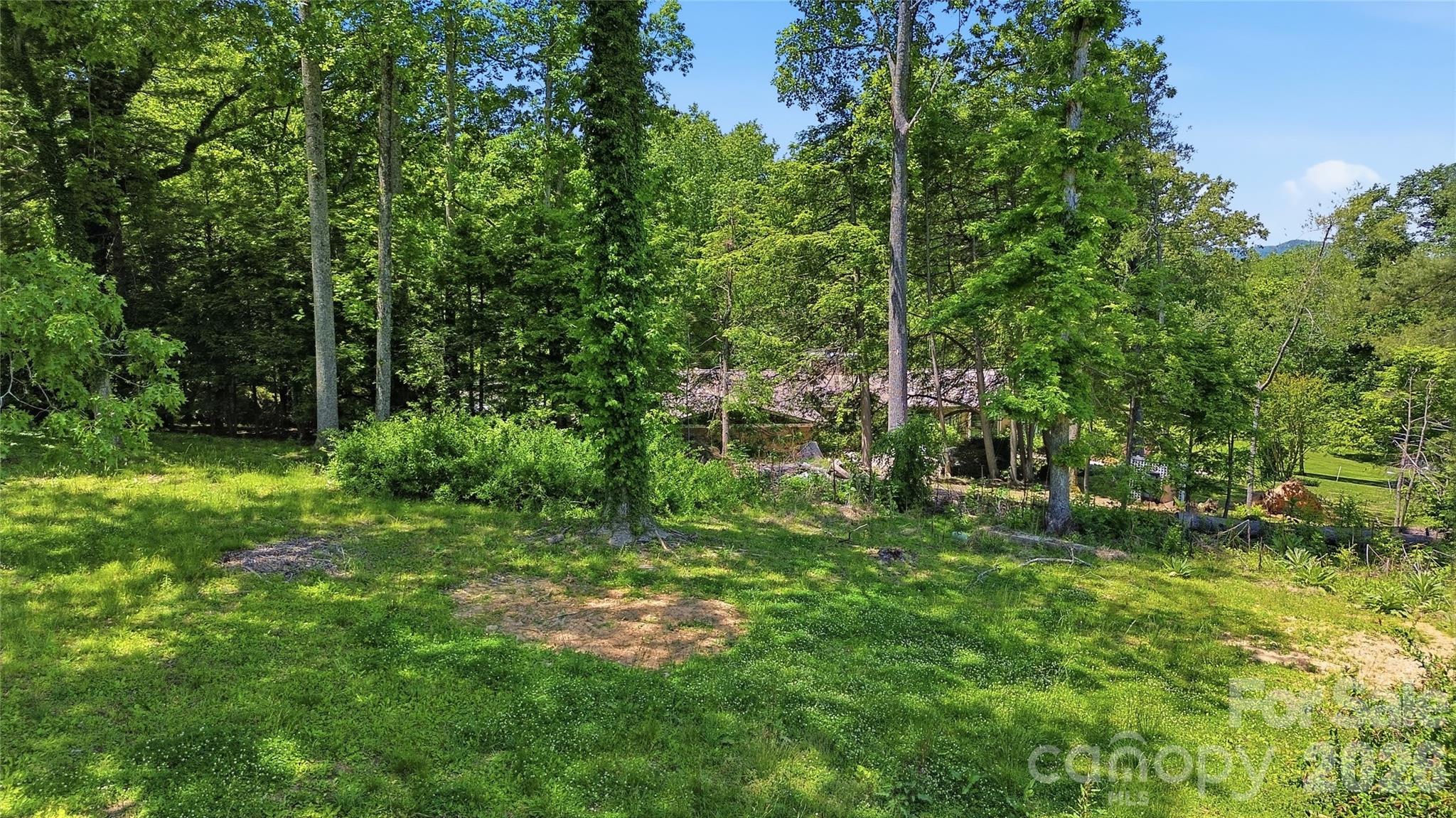 207 Wood Dale Drive — Hendersonville