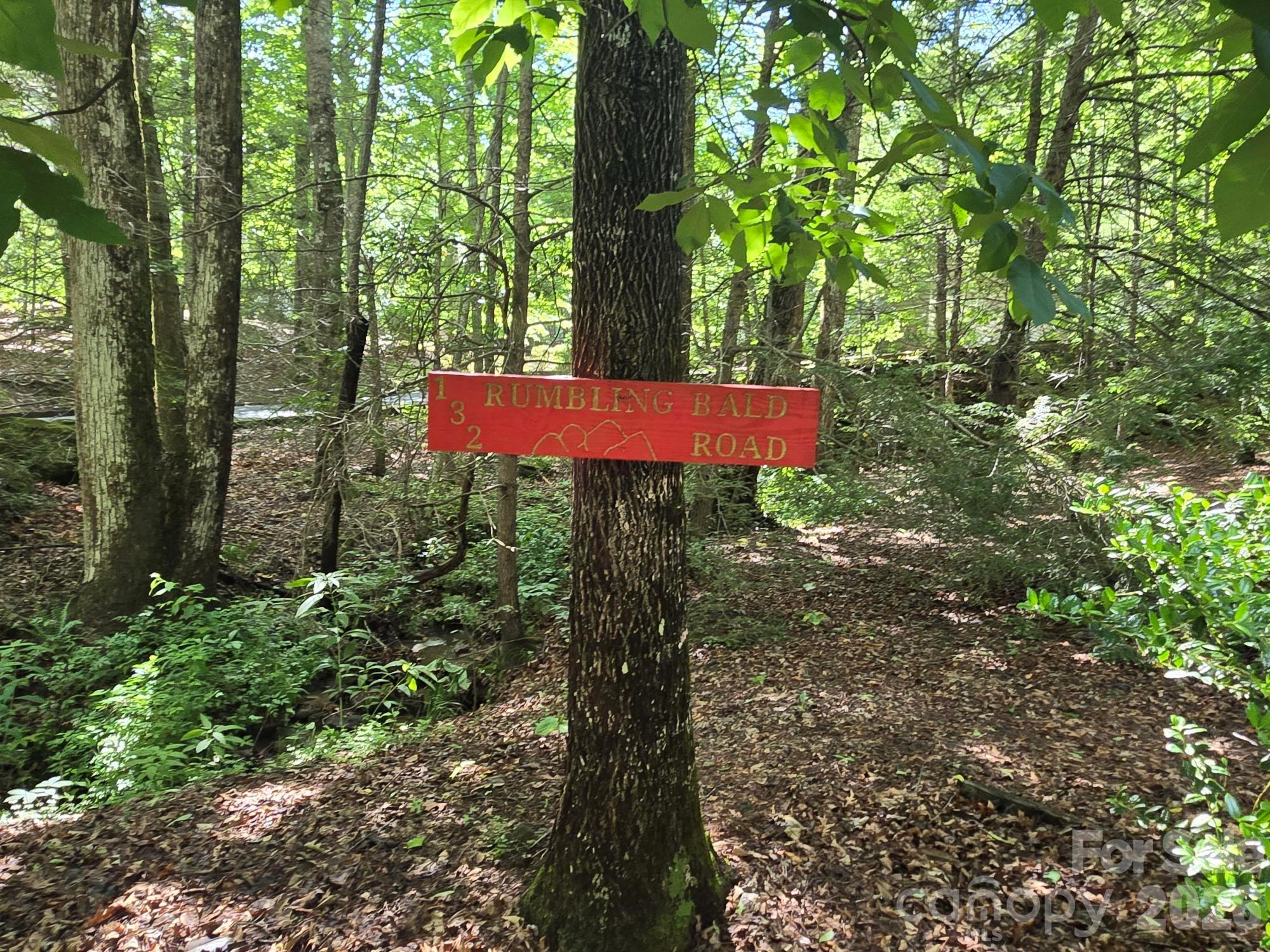 132 Rumbling Bald Road — Lake Lure