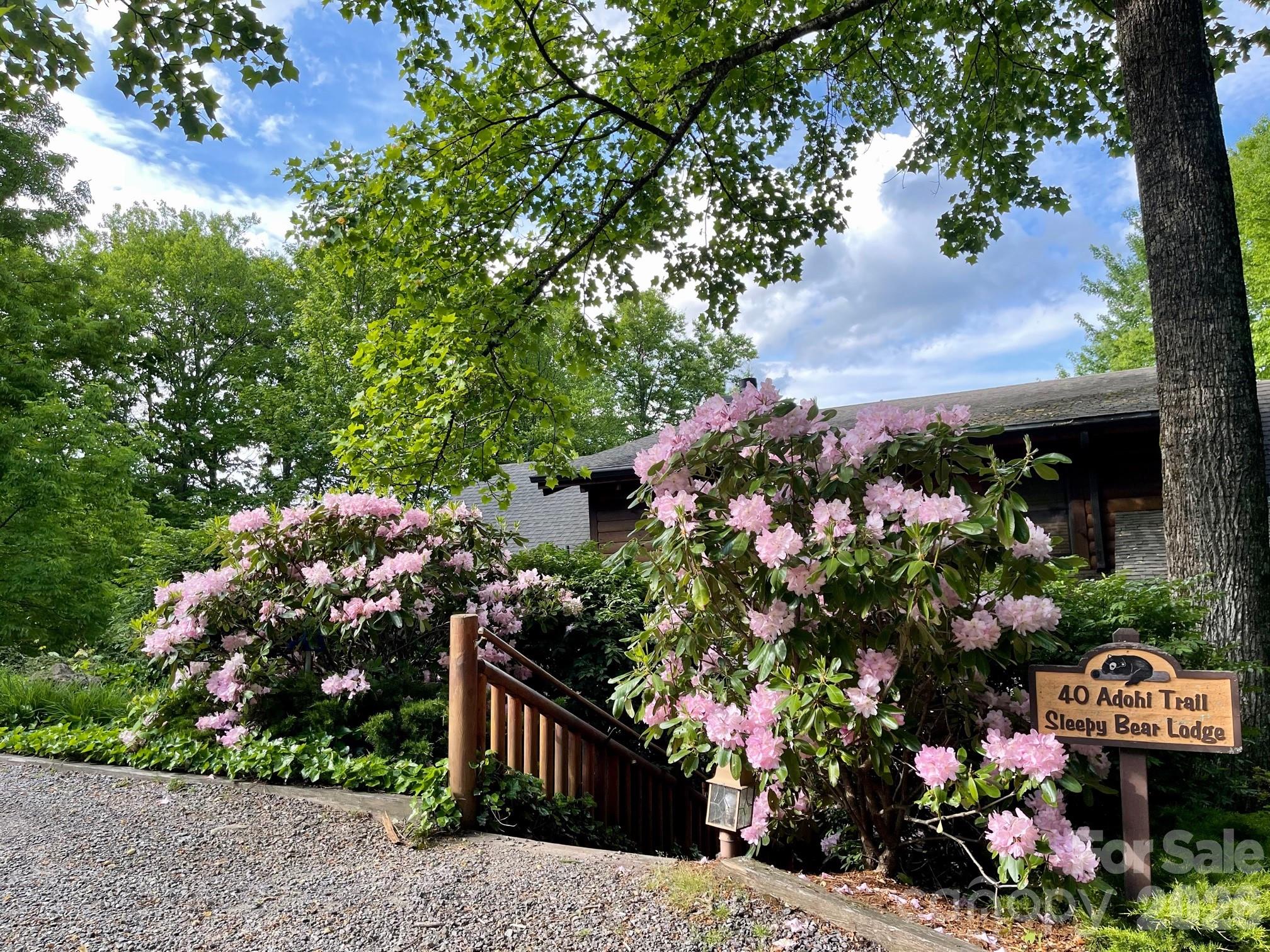 40 Adohi Trail — Maggie Valley