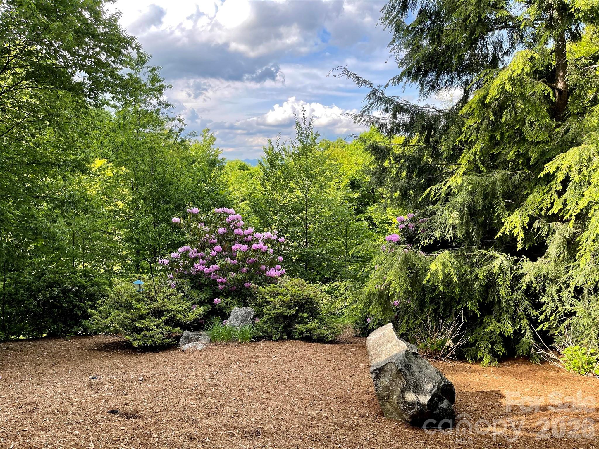 40 Adohi Trail — Maggie Valley