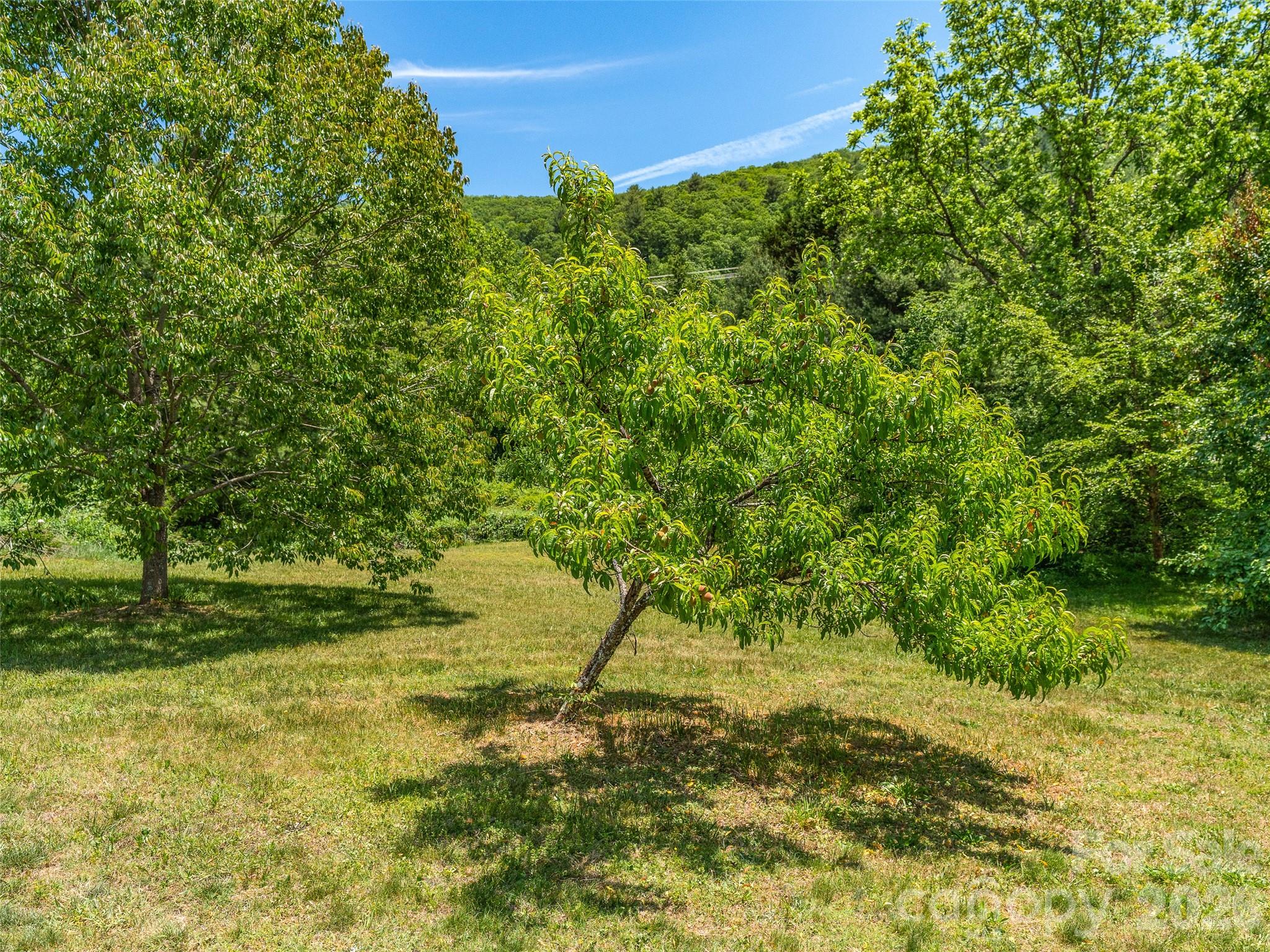 241 Pinners Cove Road — Asheville