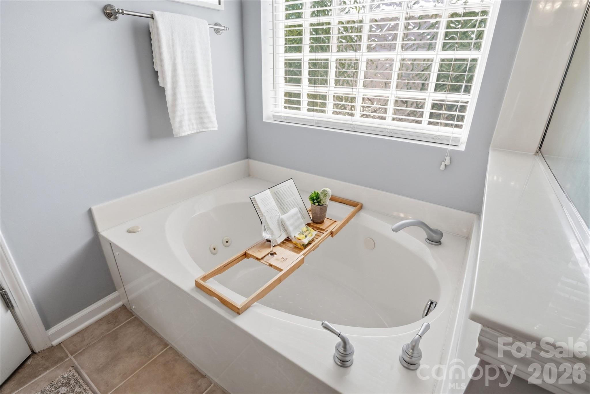 411 Shoreham Lane — Fort Mill