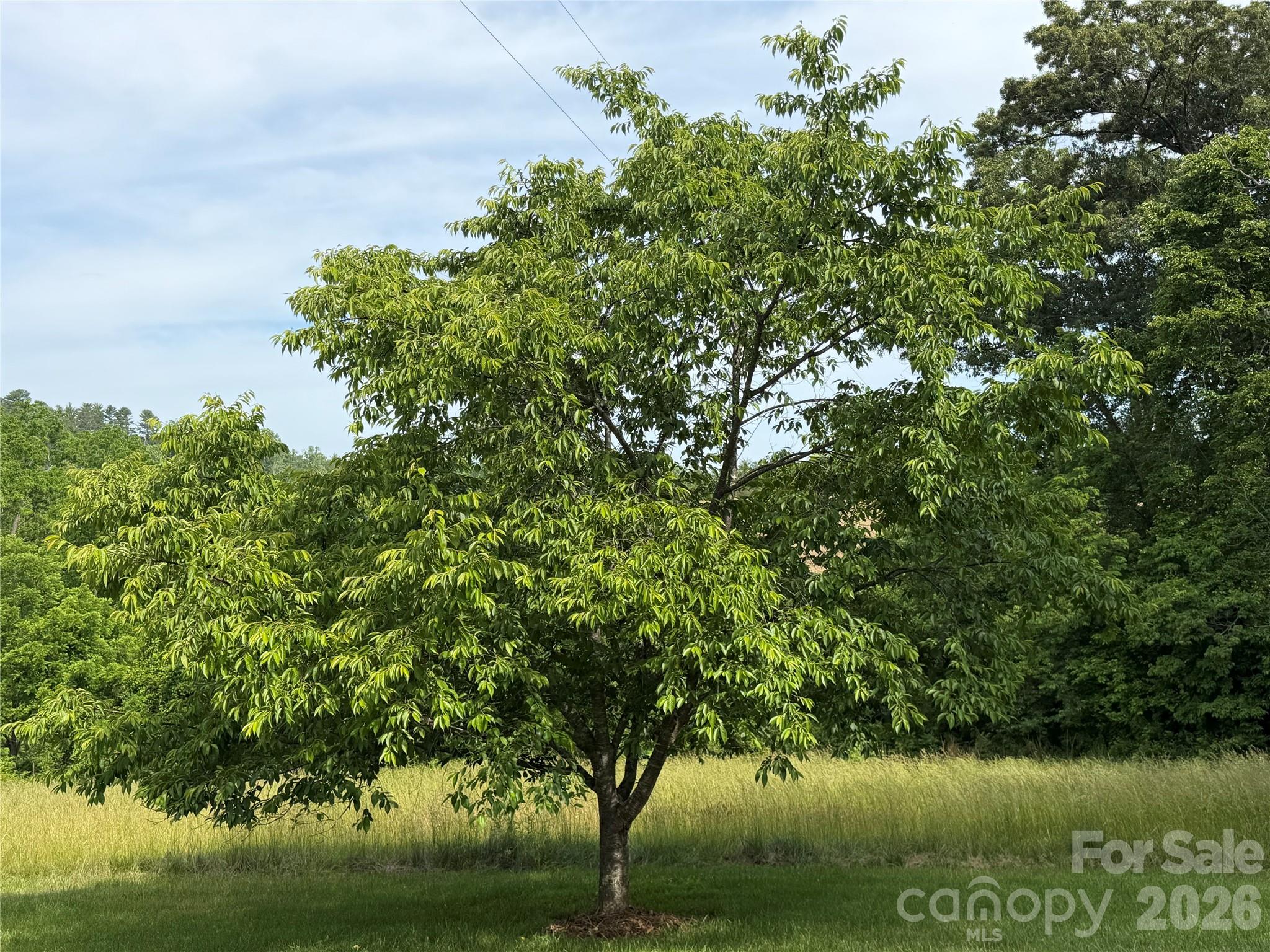 351 Mag Sluder Road — Alexander