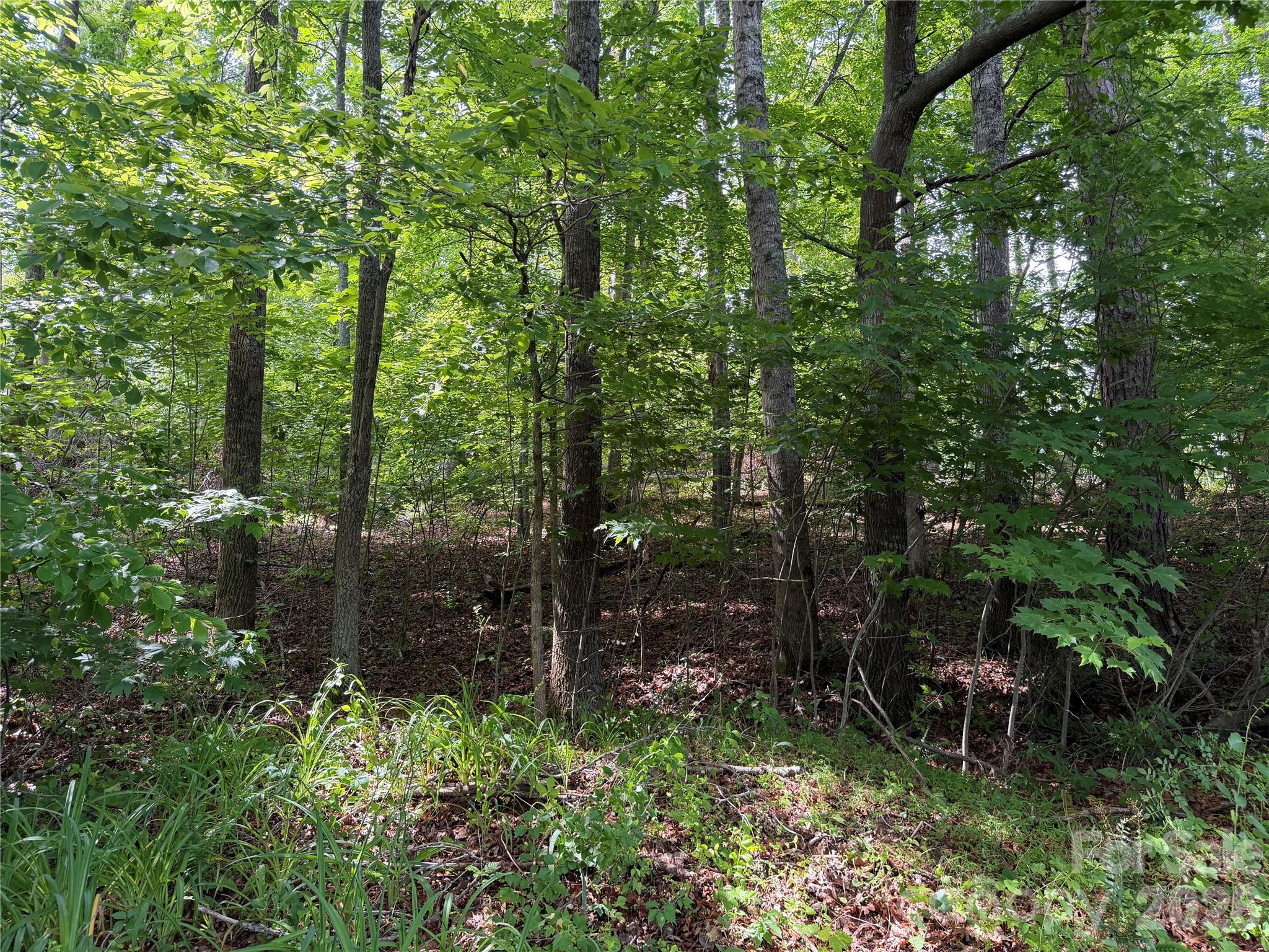 351 Mag Sluder Road — Alexander