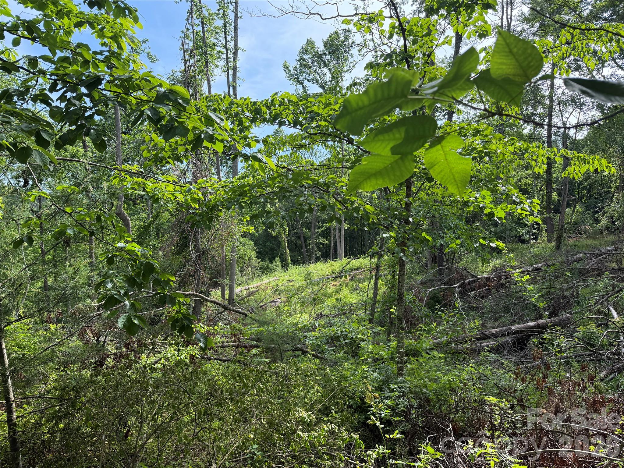 351 Mag Sluder Road — Alexander