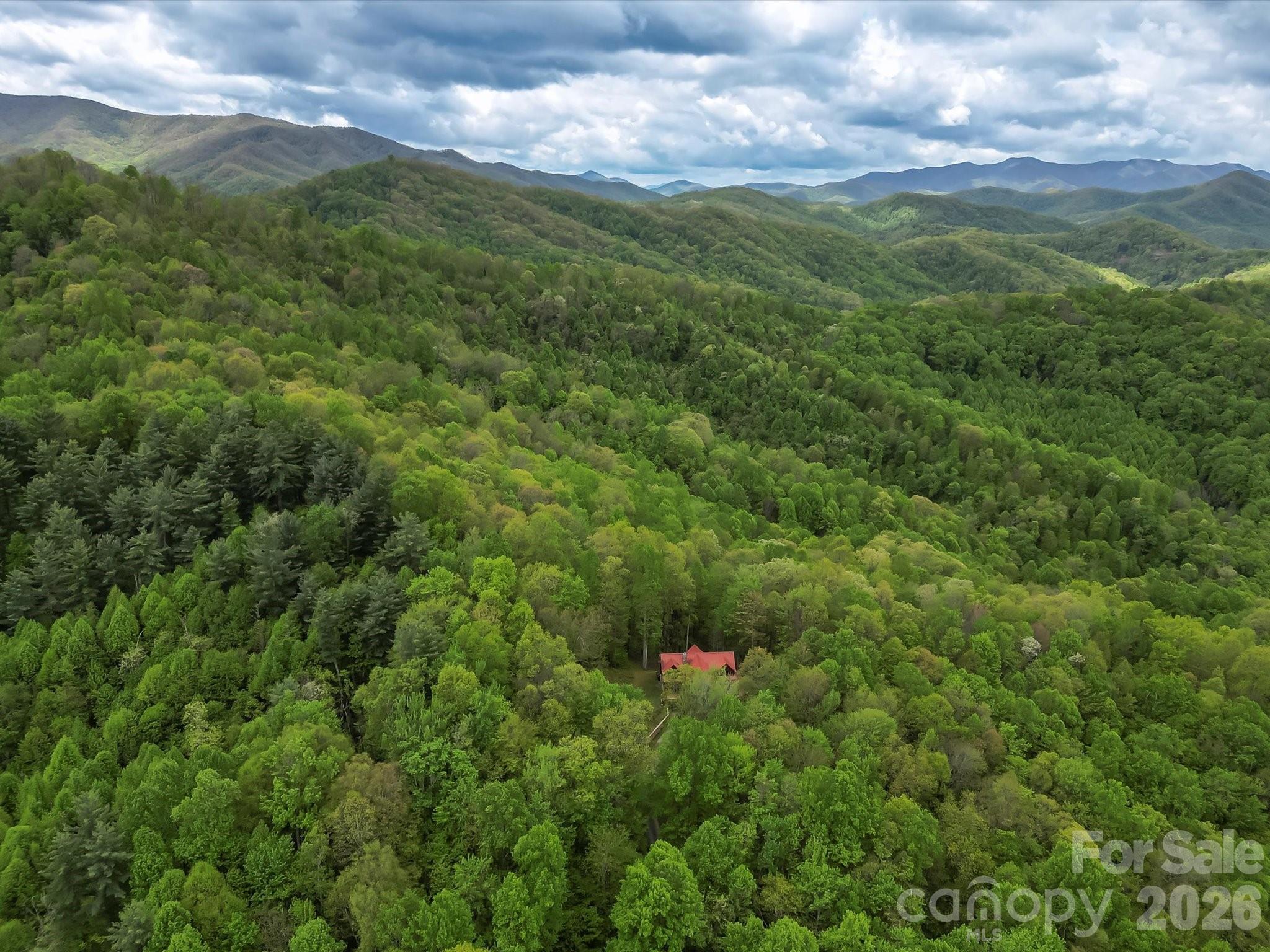 917 Otter Mountain Road — Topton