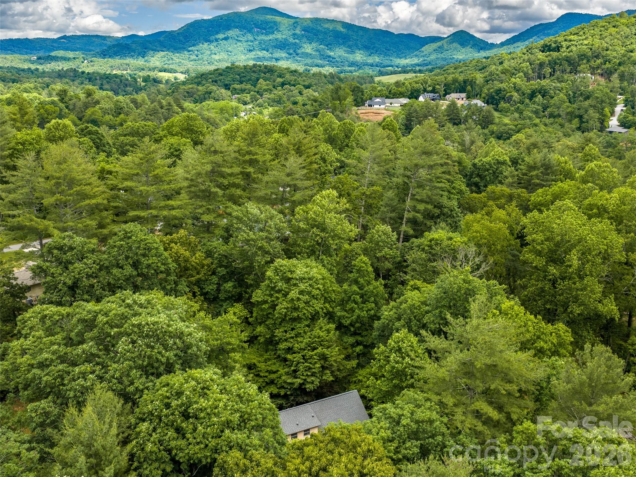 25 Blueberry Lane — Fairview