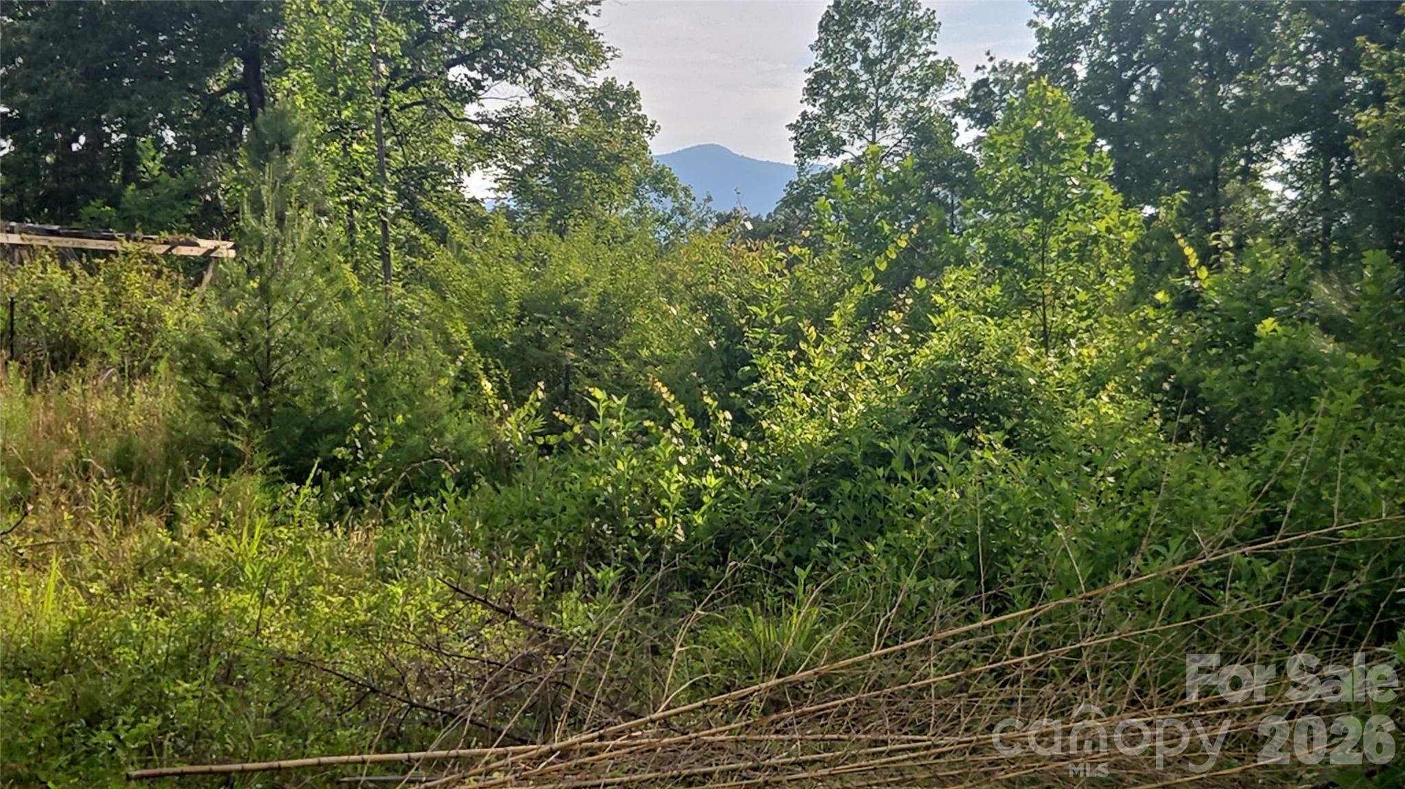 00 Misery Ridge Trail — Mill Spring