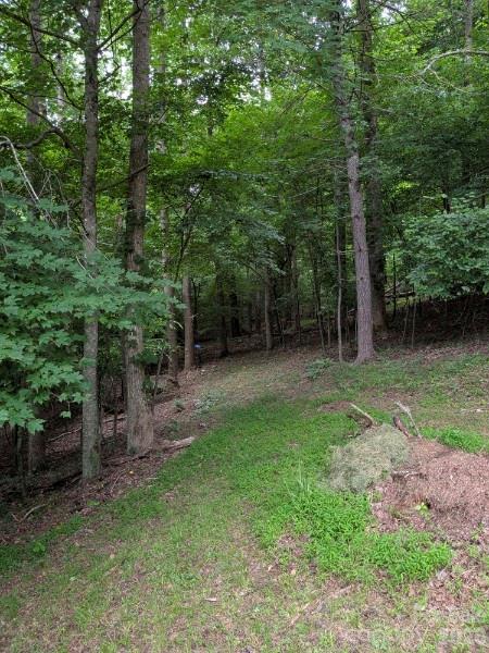 59 Ck Cabin Drive — Hot Springs
