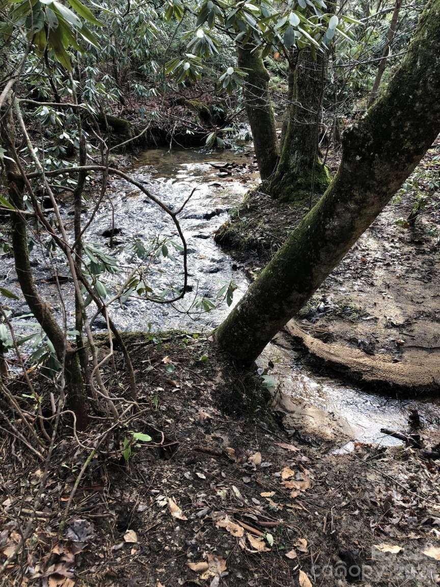 3445 Irish Hills Road — Morganton