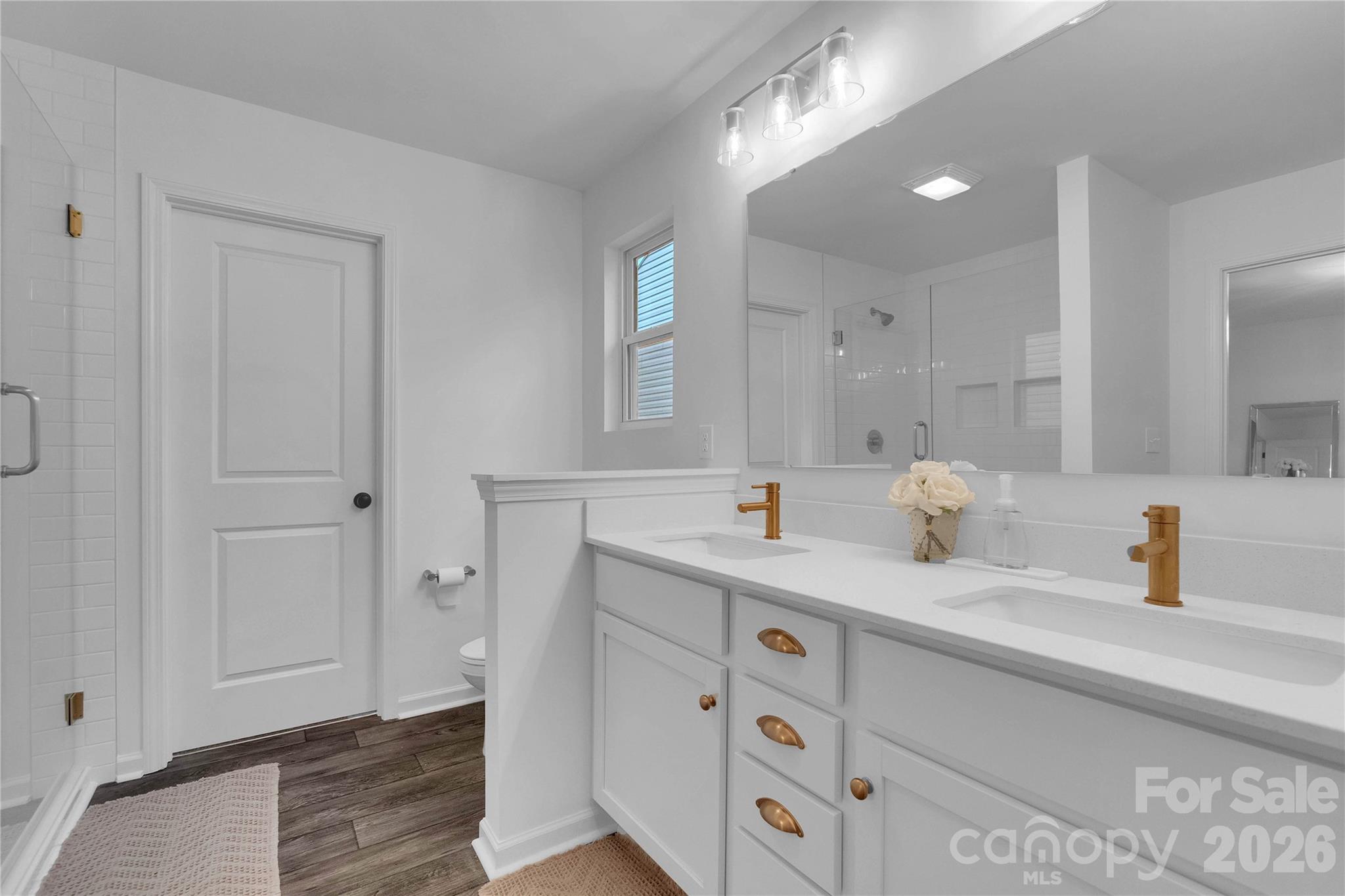 242 Lacewing Drive — Charlotte