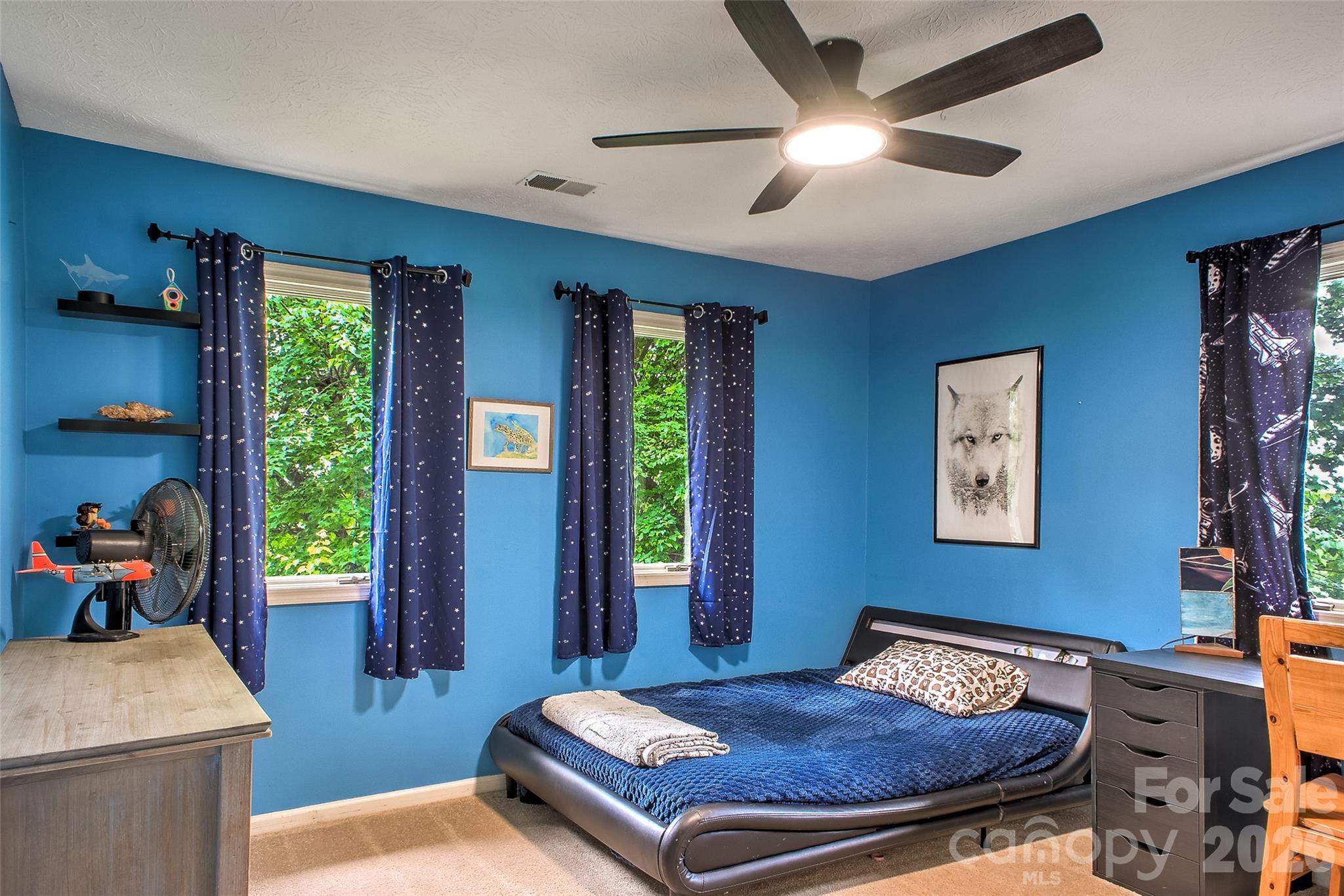 53 Braddock Way — Asheville