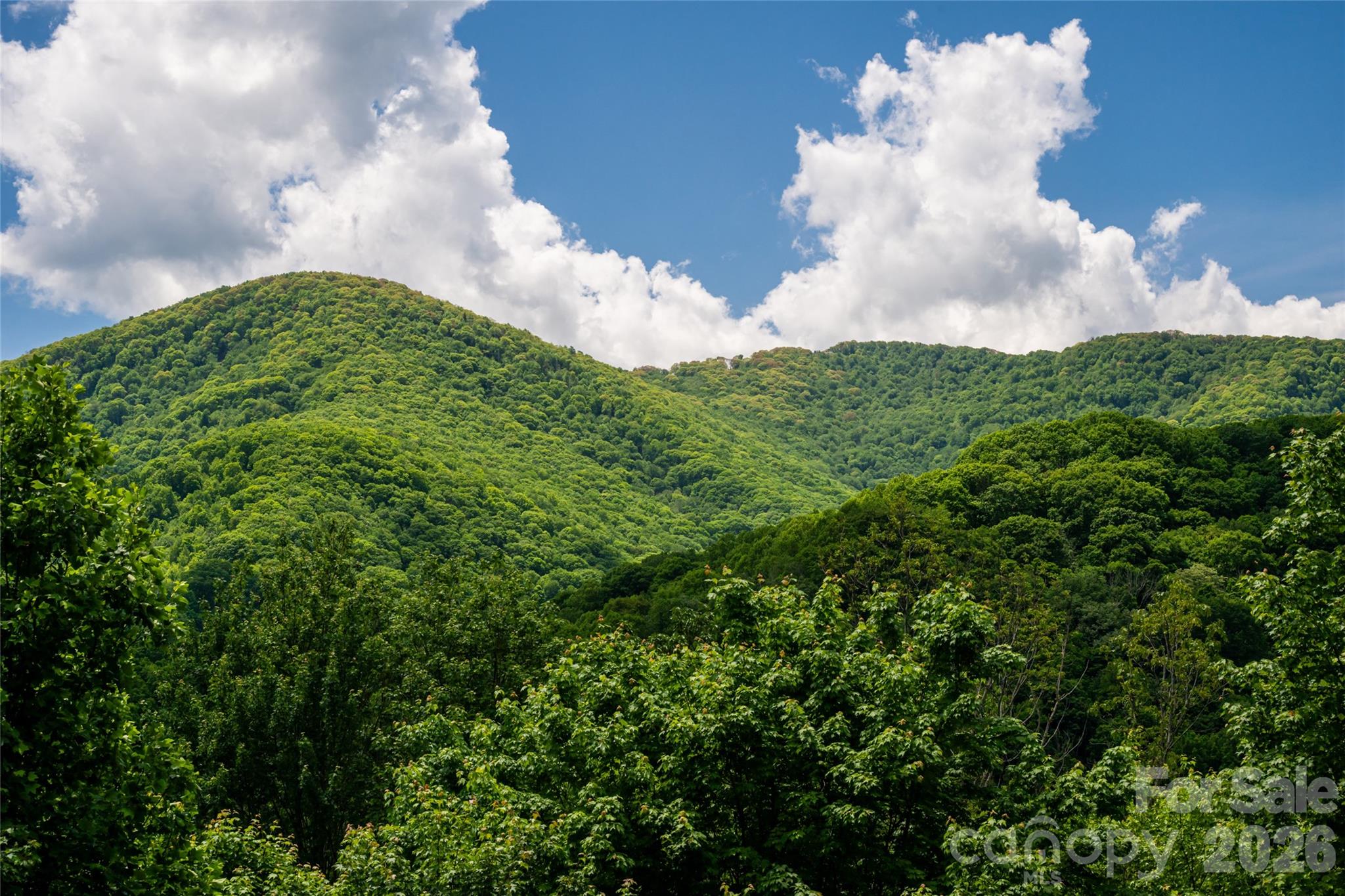 14 Marlin Trail — Waynesville