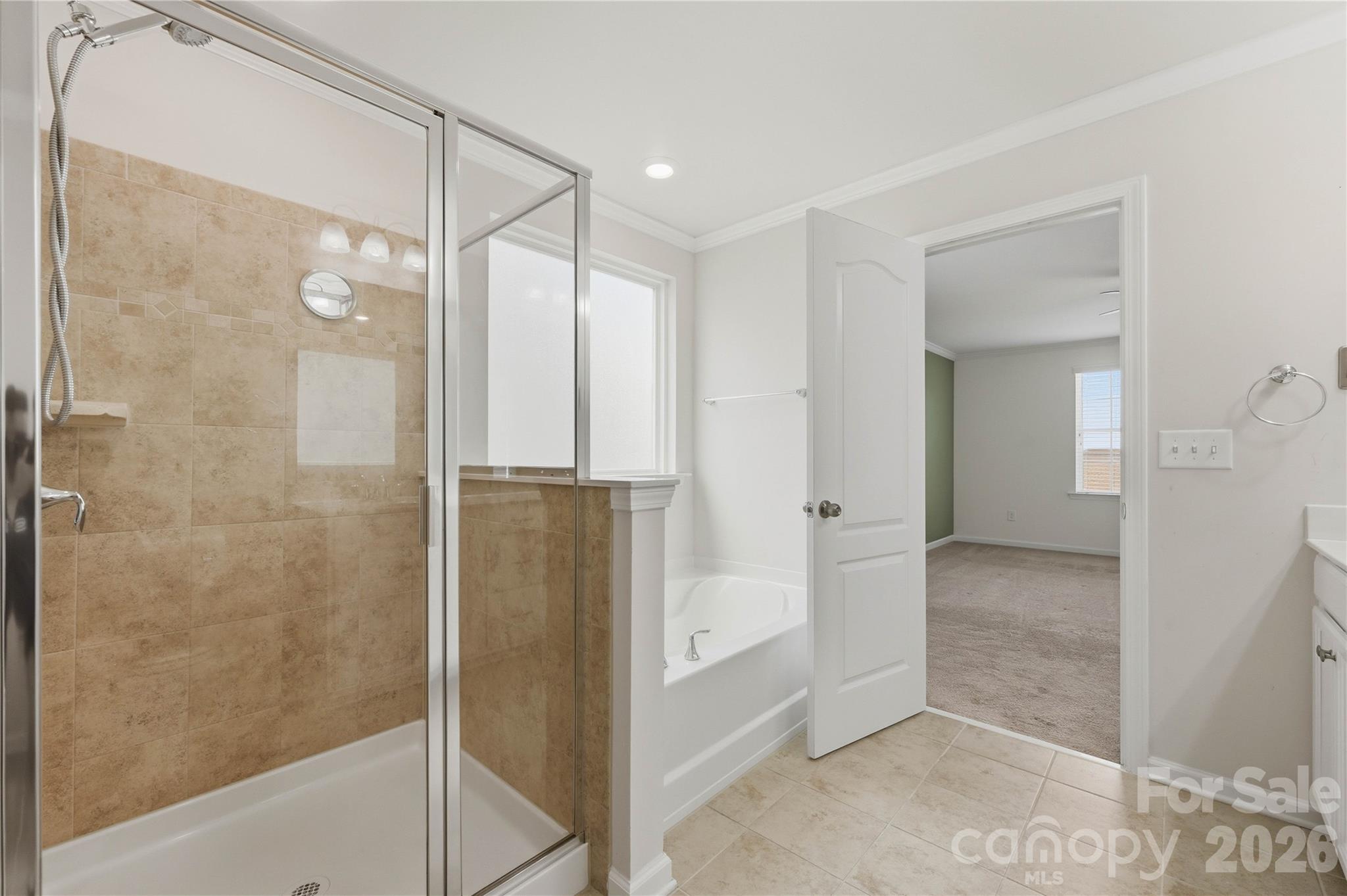 13731 Canterbury Castle Drive — Charlotte