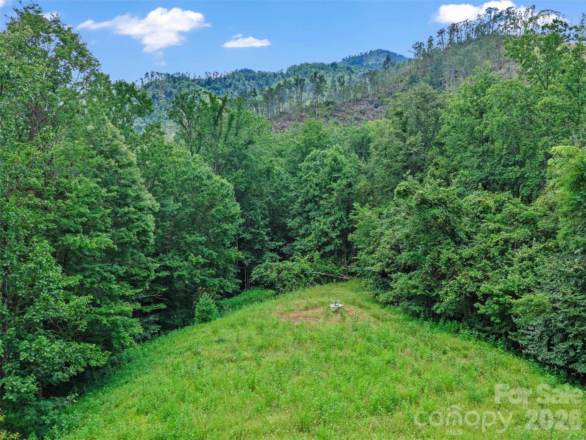 2216 Beans Creek Road — Bakersville