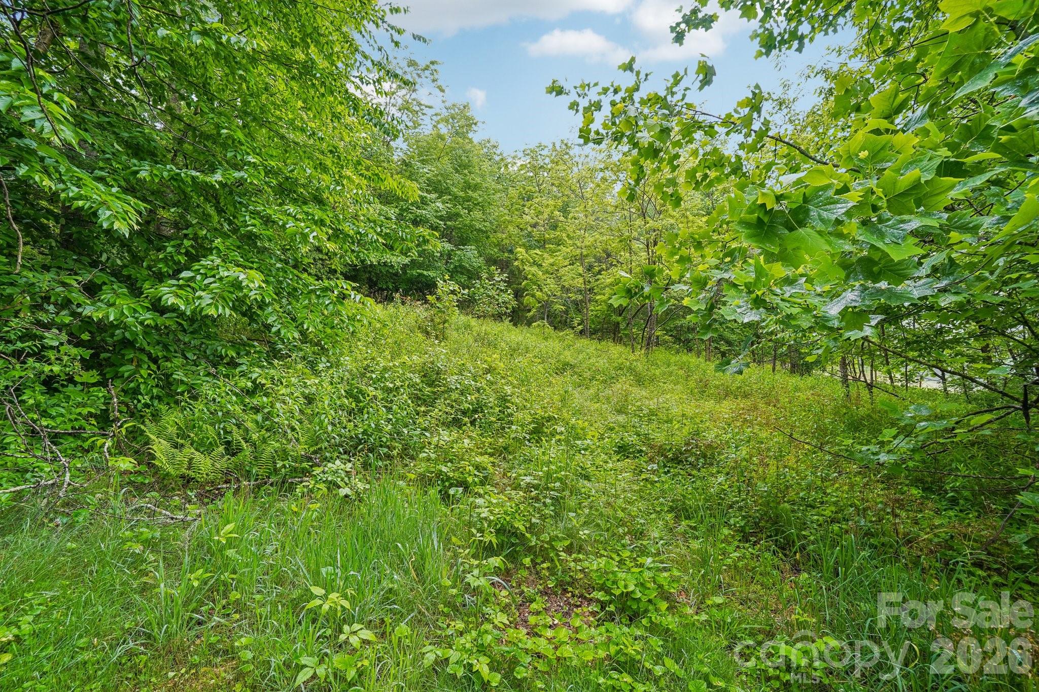 434 Dovers Branch Road — Burnsville