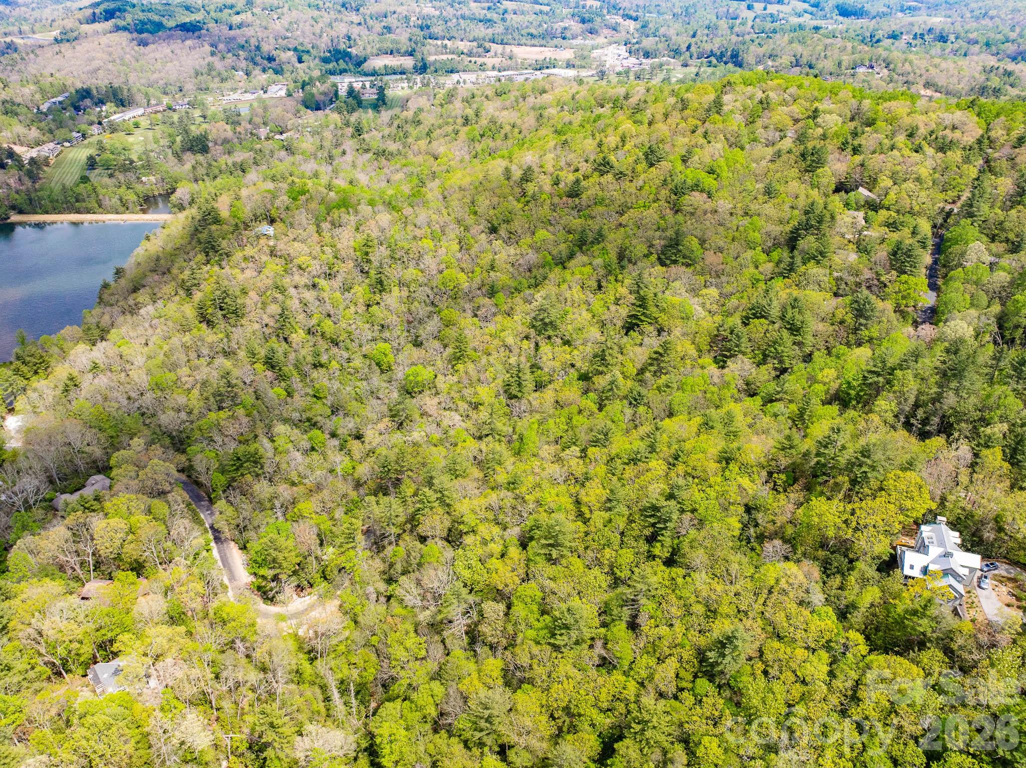 1971 Swiss Pine Lake Drive — Spruce Pine