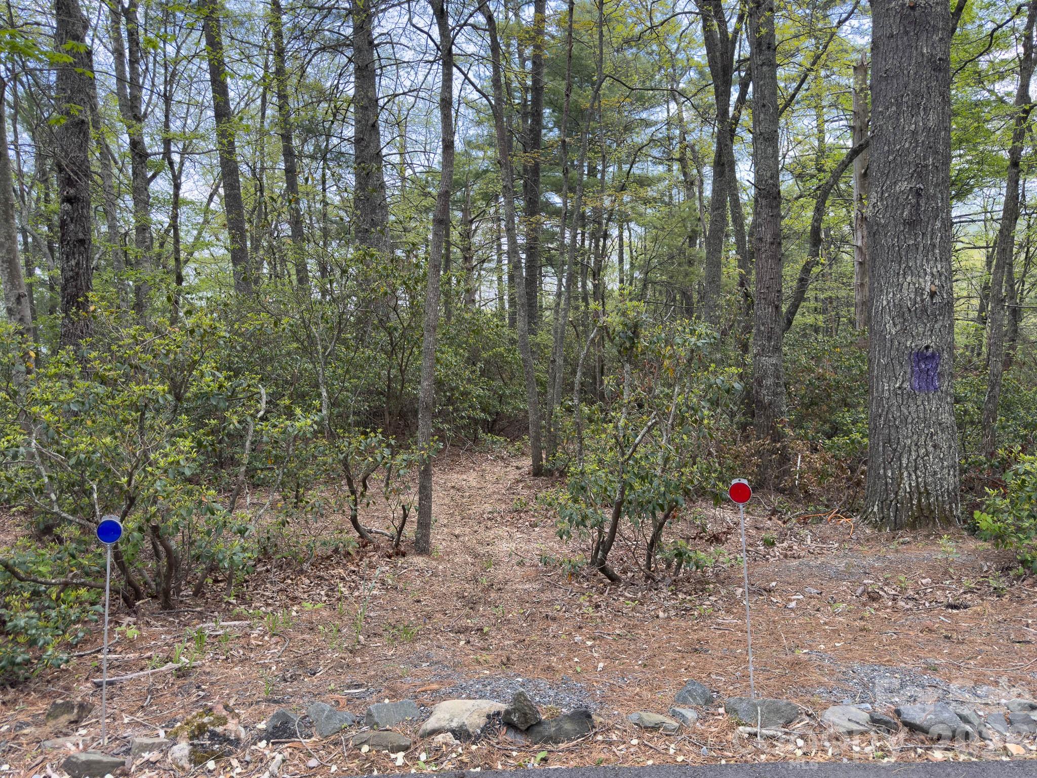 1971 Swiss Pine Lake Drive — Spruce Pine