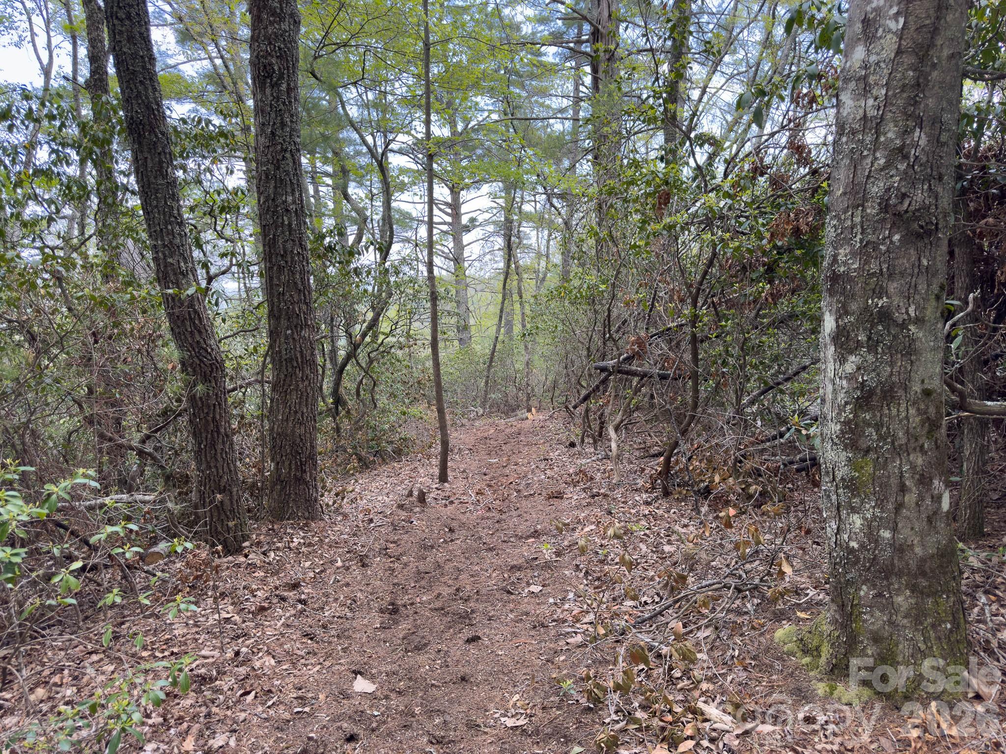 1971 Swiss Pine Lake Drive — Spruce Pine