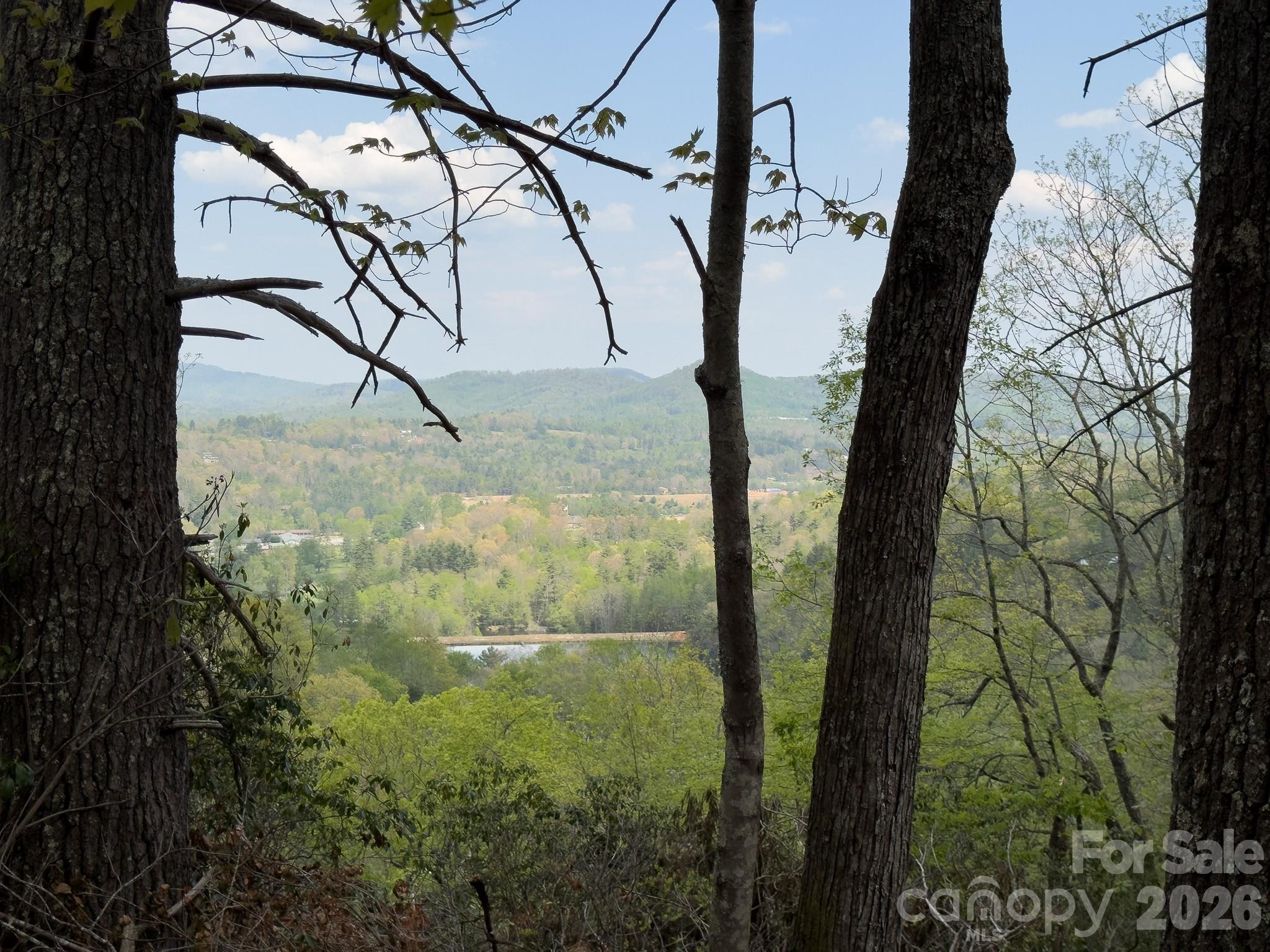 1971 Swiss Pine Lake Drive — Spruce Pine